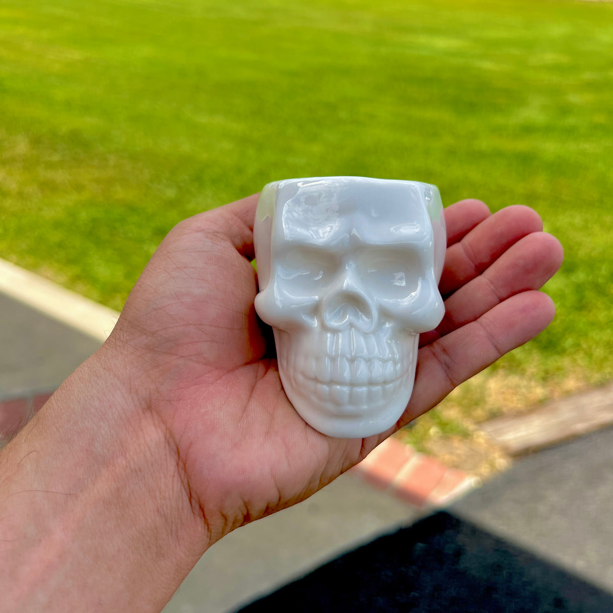 White Skull Ceramic Air Plant Holder <br> (Holder Only)