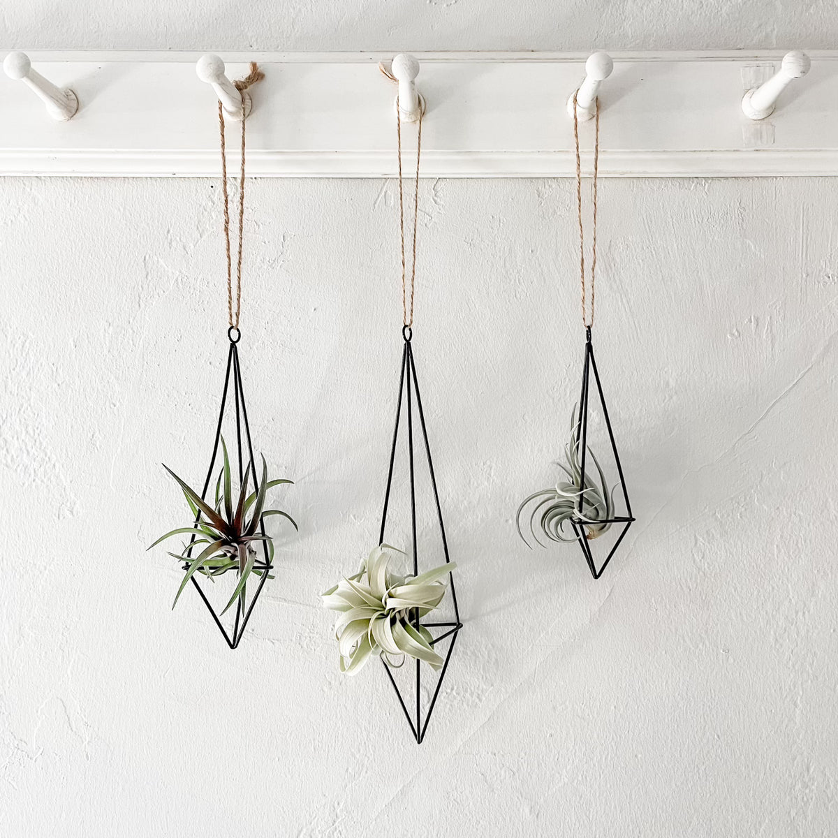 geometric hanging planter diy Hanging Twine Black Geometric Holders – Air Plant Hub