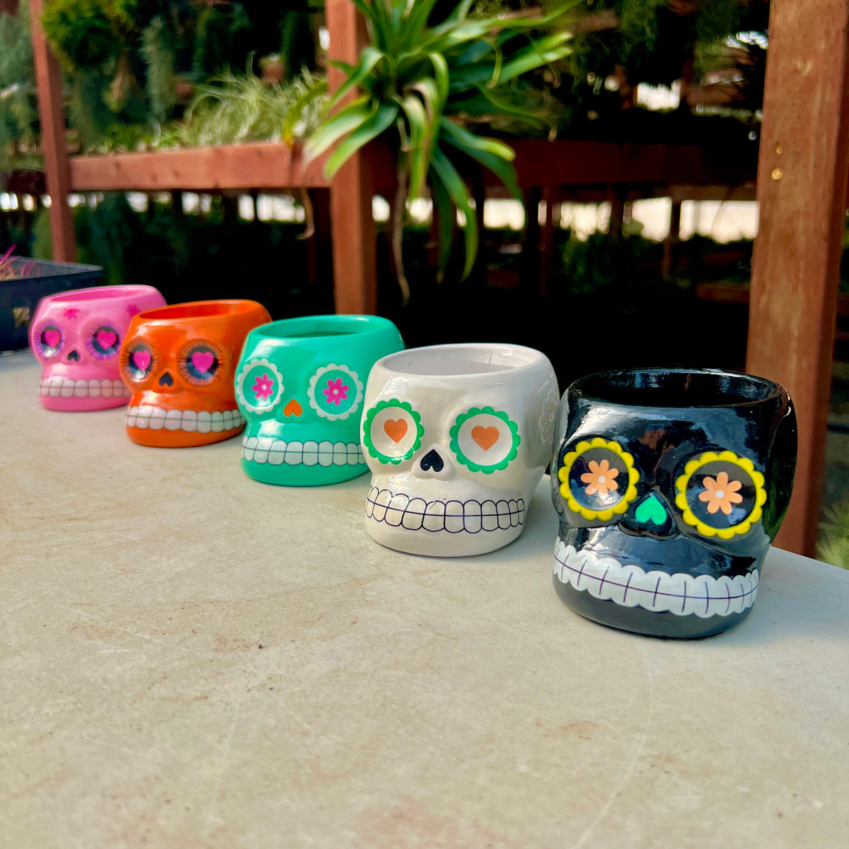 skeleton air planter Sugar Skull Ceramic Air Plant Holder (5 Color Options