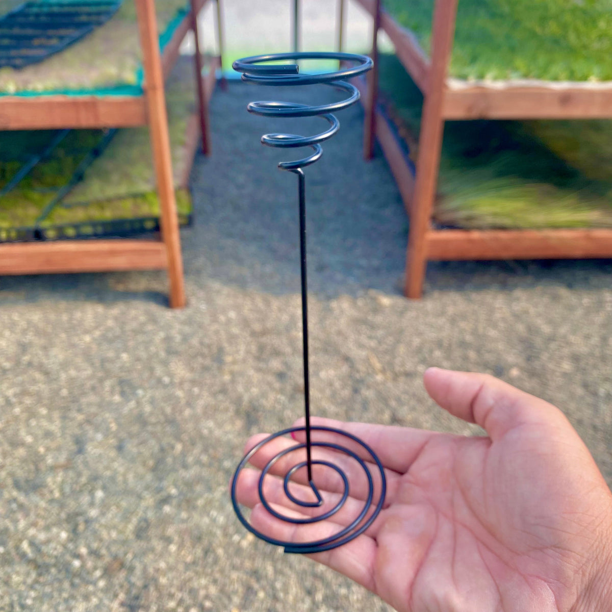 squirrel air plant holder Heavy Gauge Tall Wire Air Plant Holder – Air Plant Hub