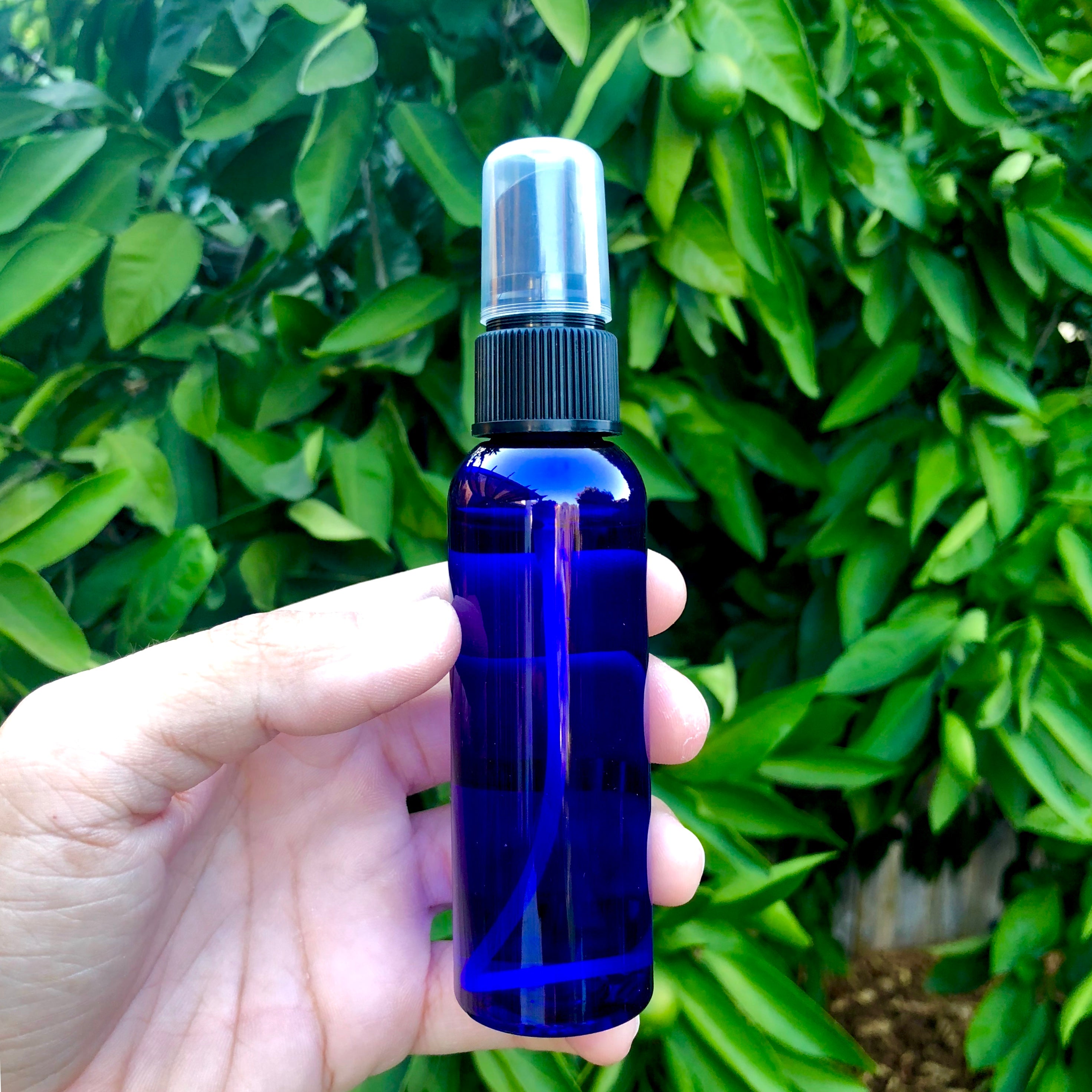 Wholesale Mister Spray Bottle For Air Plants (60ml) (Minimum order 10) - Air Plant Hub