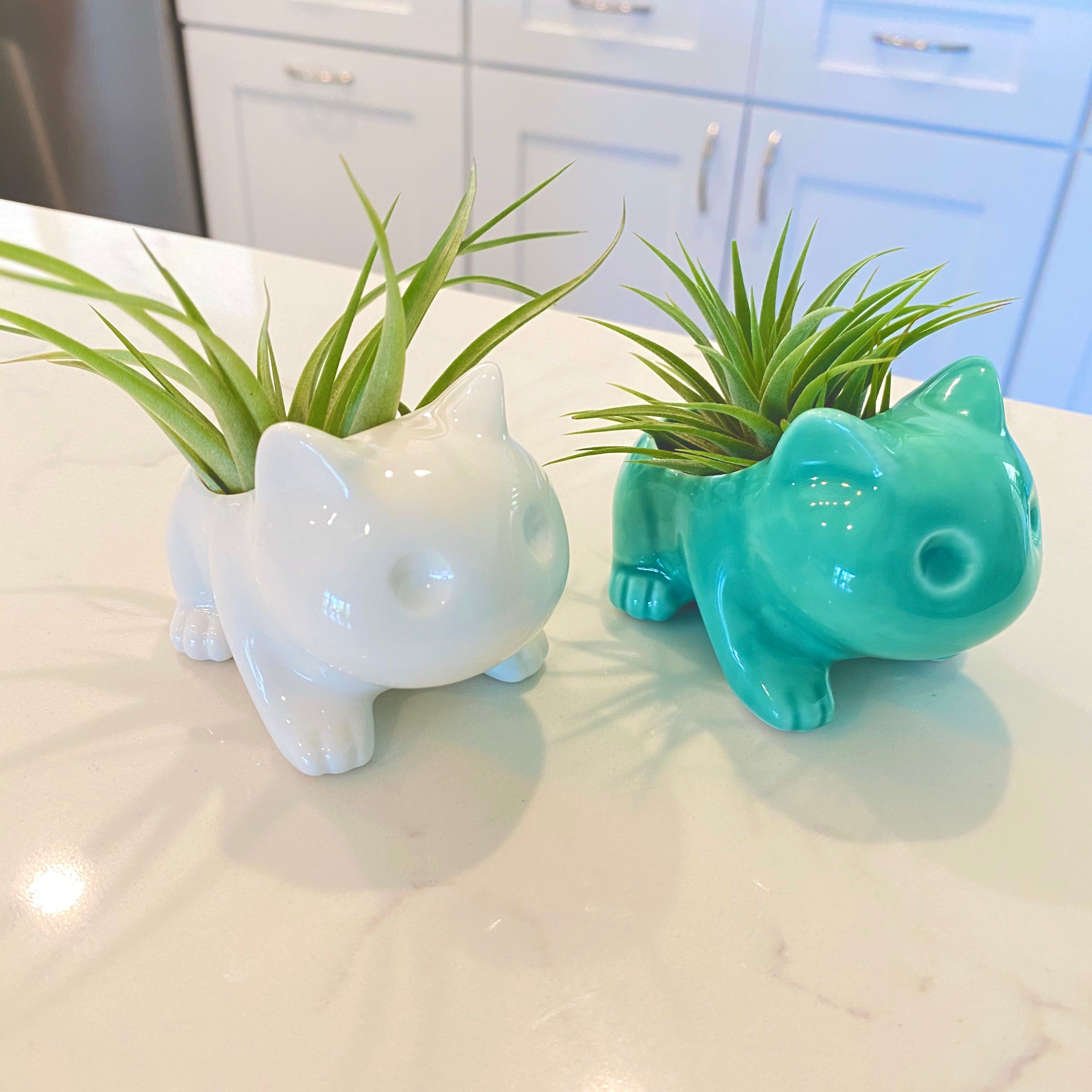 Bulb Dinosaur / Cat Planter <br> (Includes Drainage Hole For Non Air Plants)