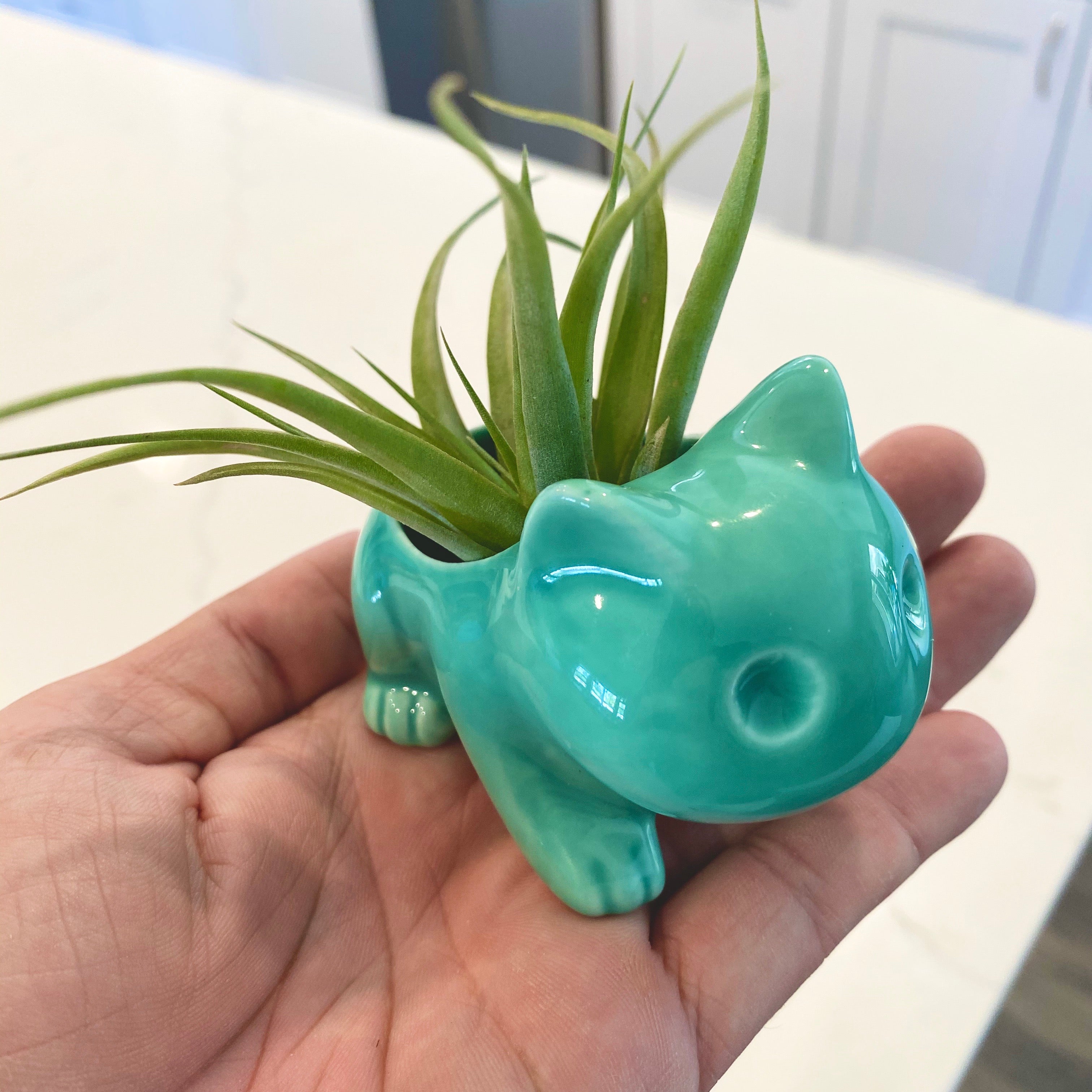 Bulb Dinosaur / Cat Planter <br> (Includes Drainage Hole For Non Air Plants)