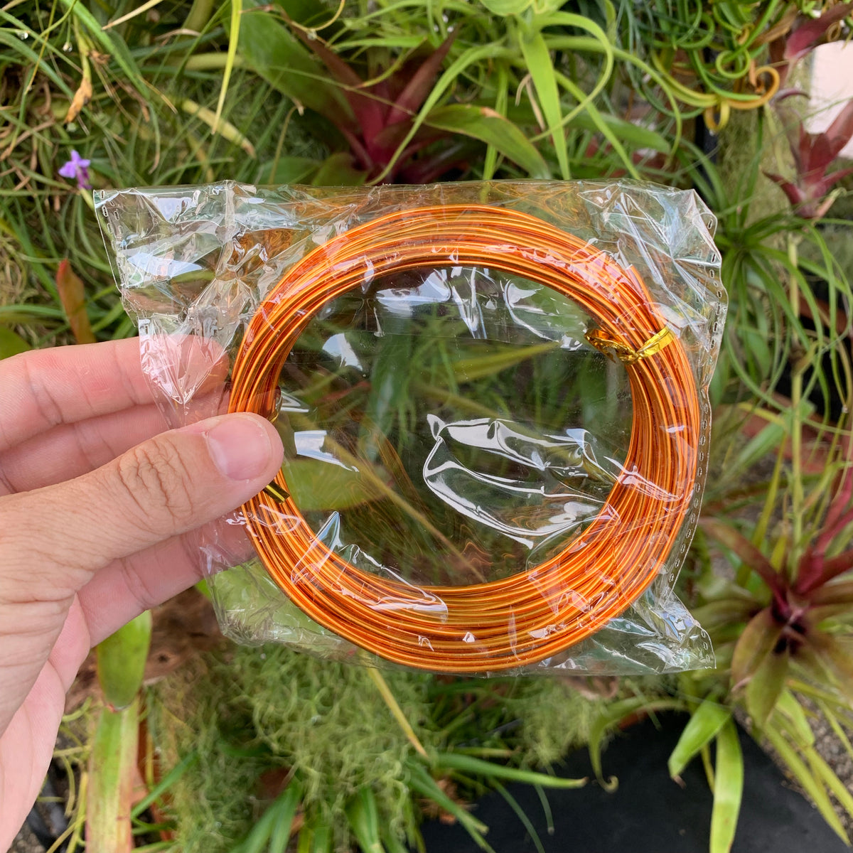 air plant copper 33' Thick Gauge Hanging Wire (Copper) – Air Plant Hub