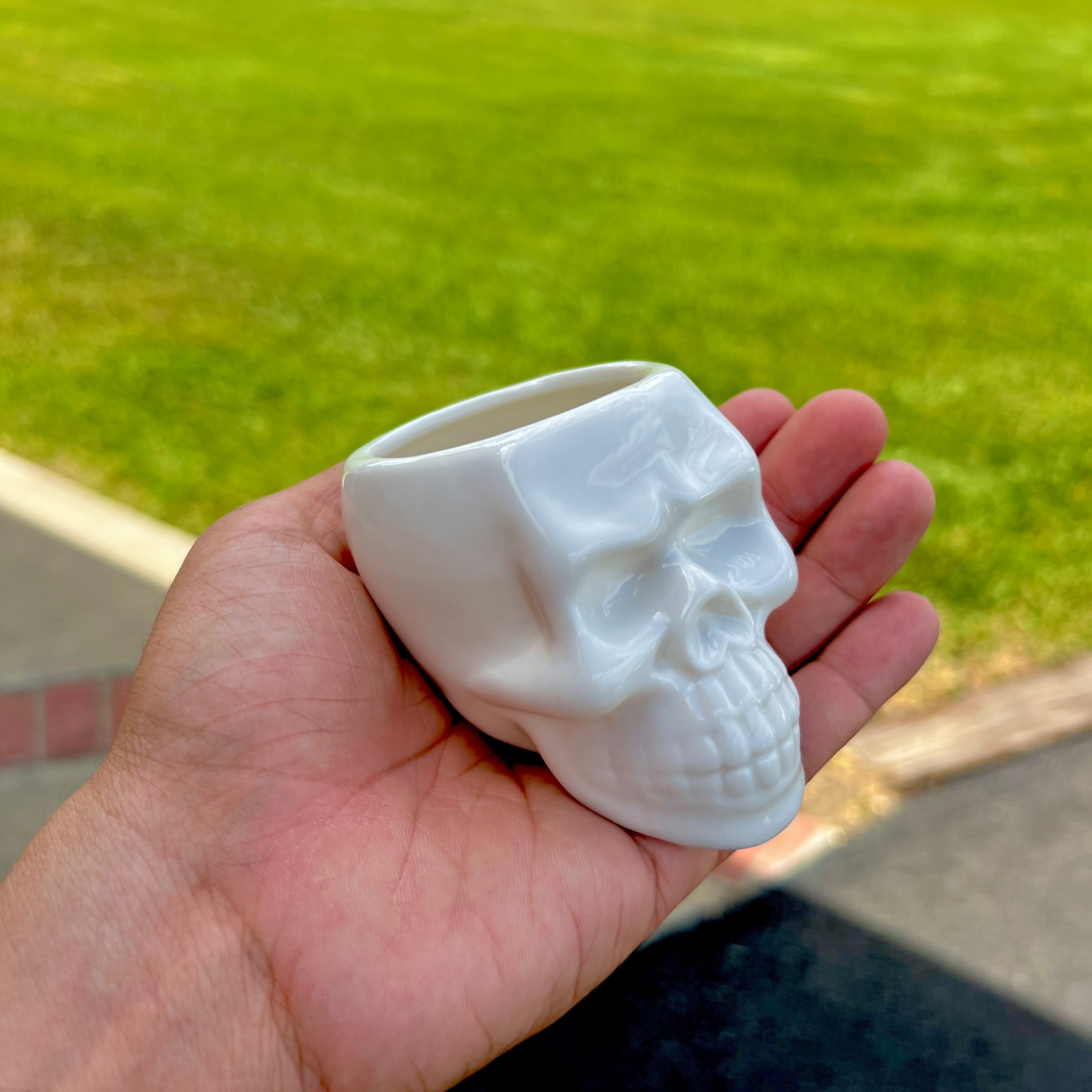 White Skull Ceramic Air Plant Holder <br> (Holder + Air Plant Combo)