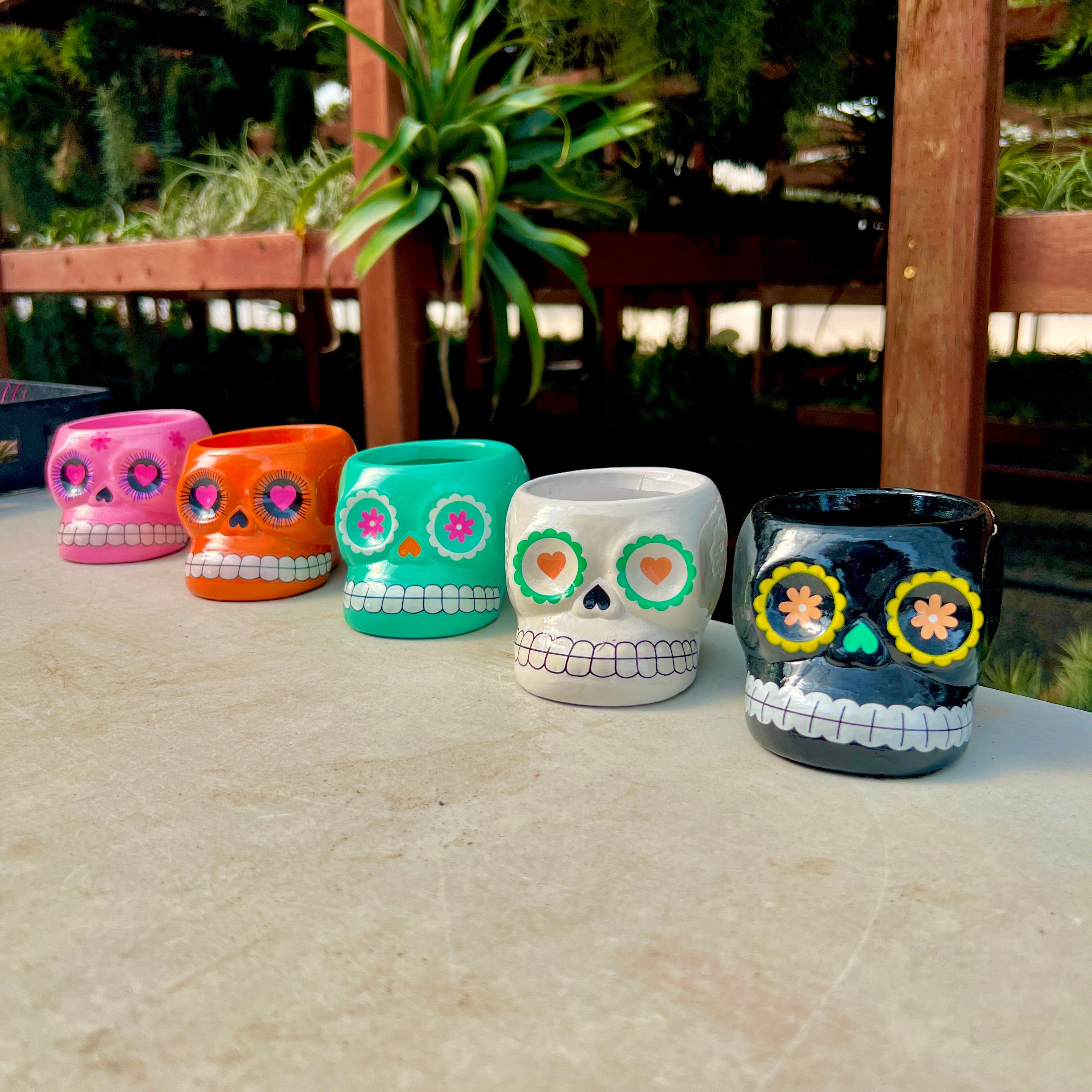 Sugar Skull Ceramic Air Plant Holder <br> (5 Color Options - Holder Only)