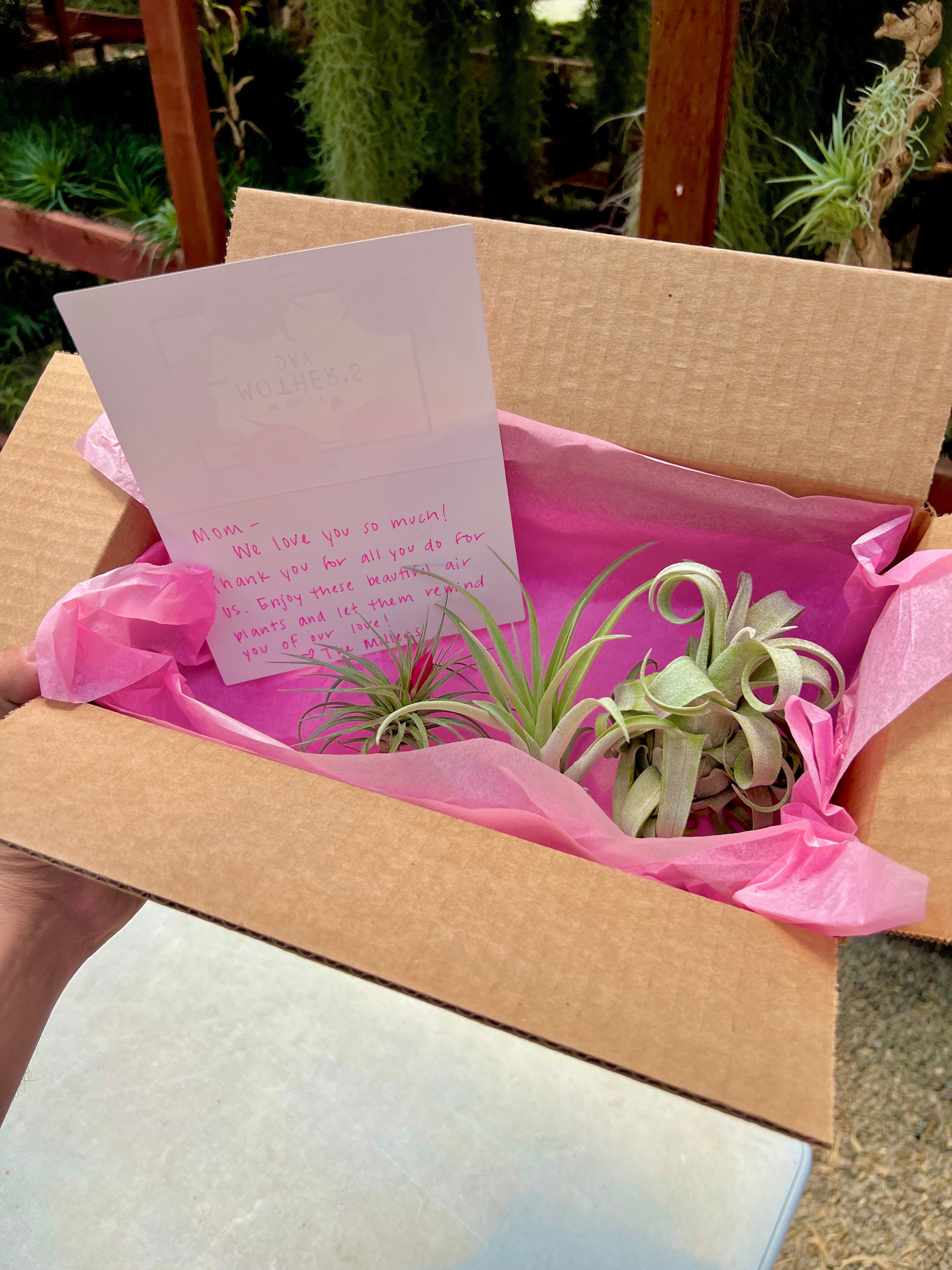Mother's Day Box <br> (Includes FREE Customizable Mother's Day Card!)