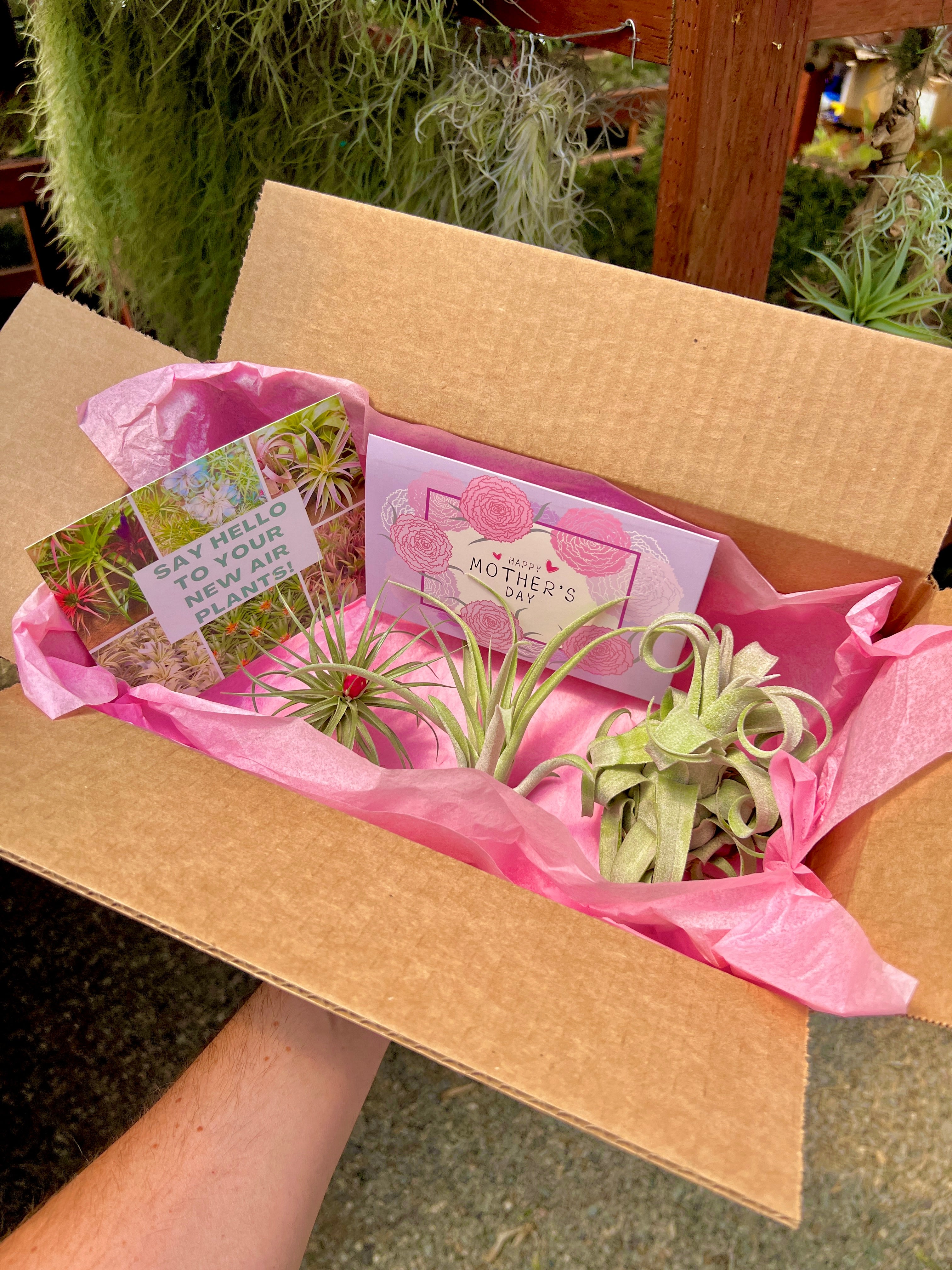 Mother's Day Box <br> (Includes FREE Customizable Mother's Day Card!)
