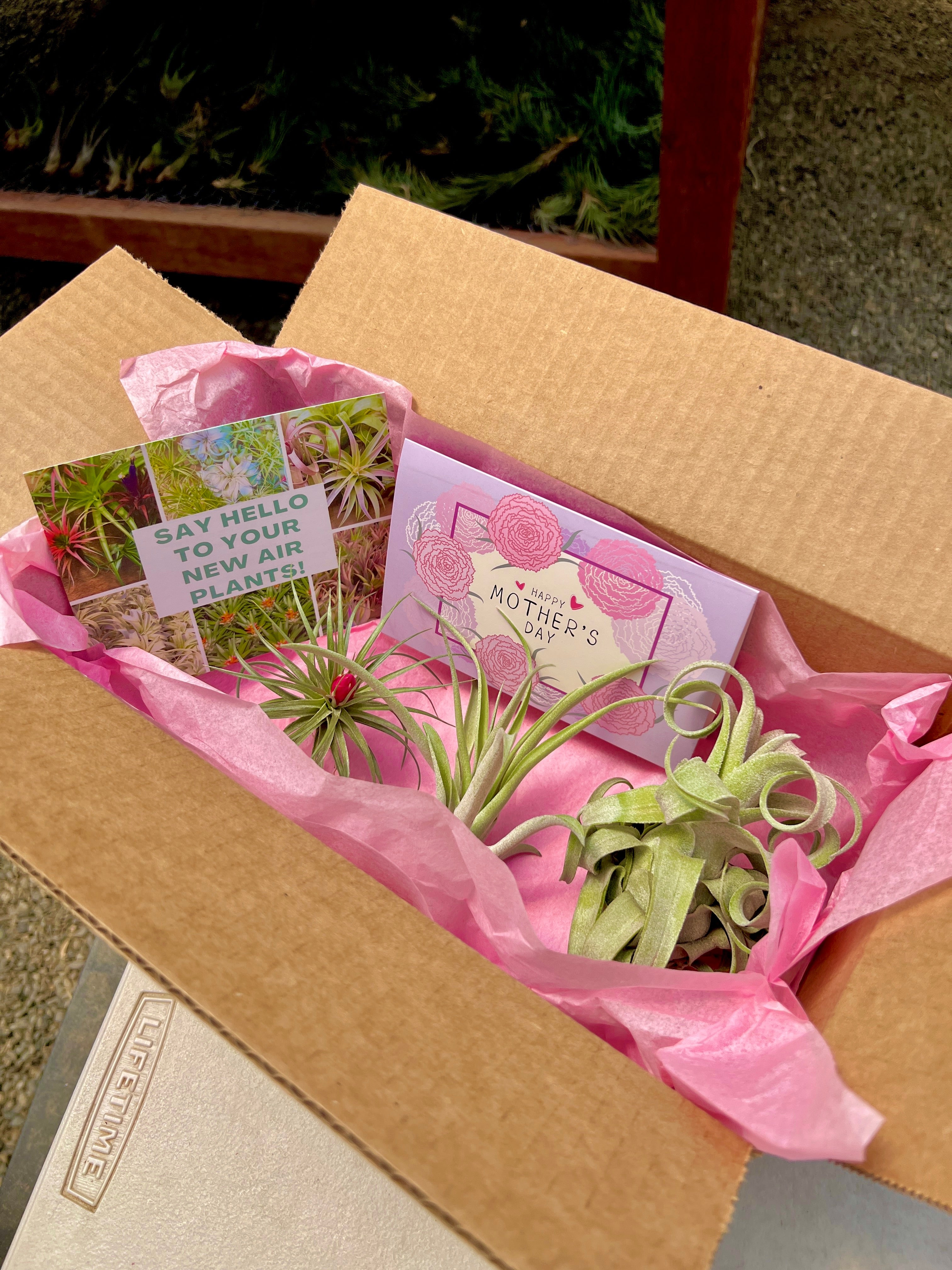 Mother's Day Box <br> (Includes FREE Customizable Mother's Day Card!)