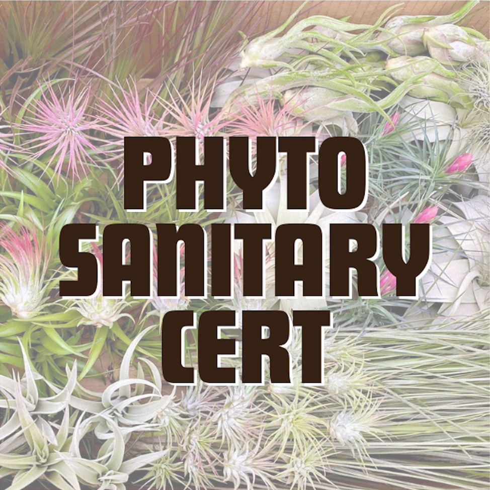 Phytosanitary Certificate <br> ONLY REQUIRED FOR INTERNATIONAL & HAWAII SHIPMENTS