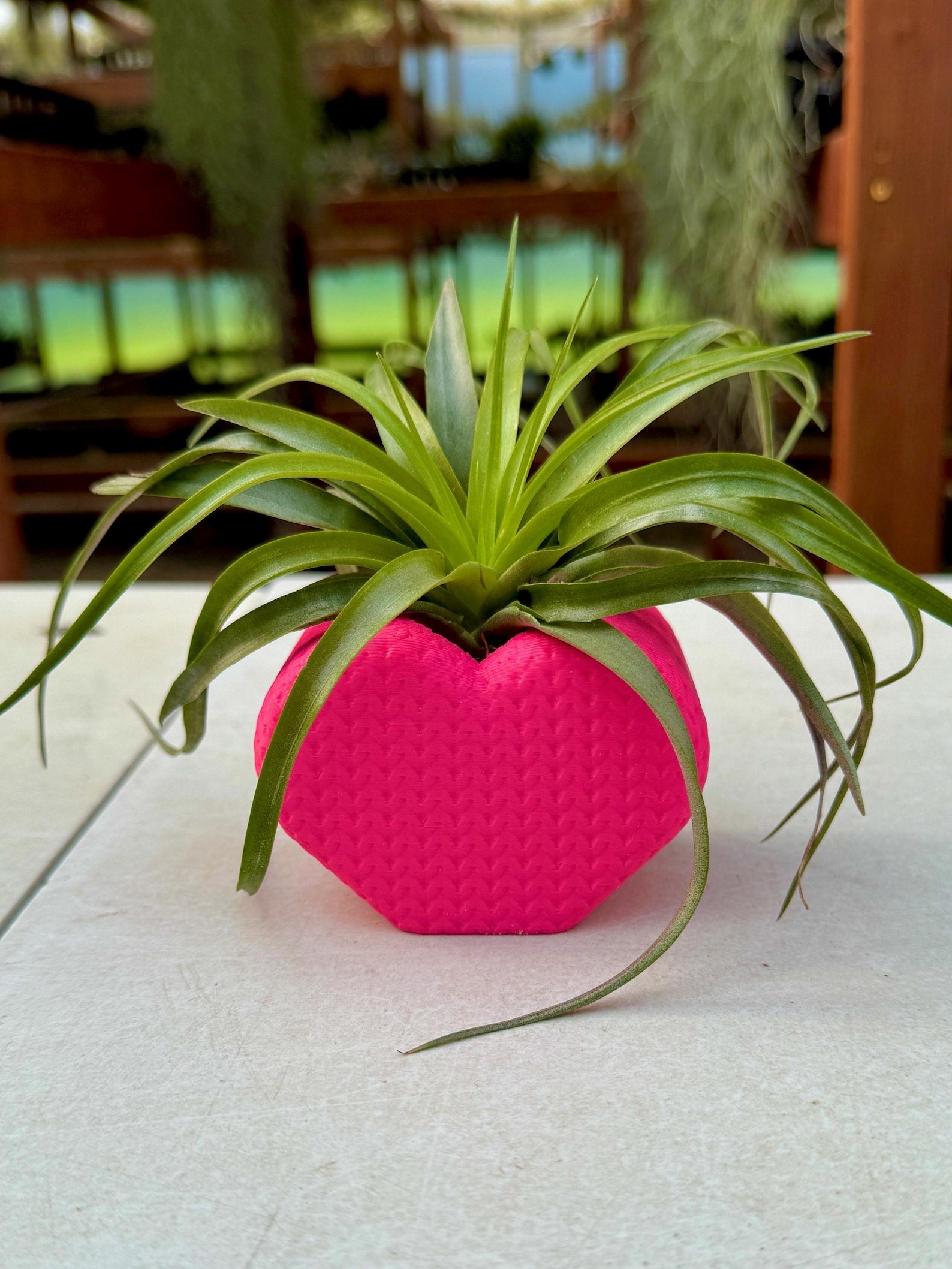 "Knitted" Heart Air Plant Holder