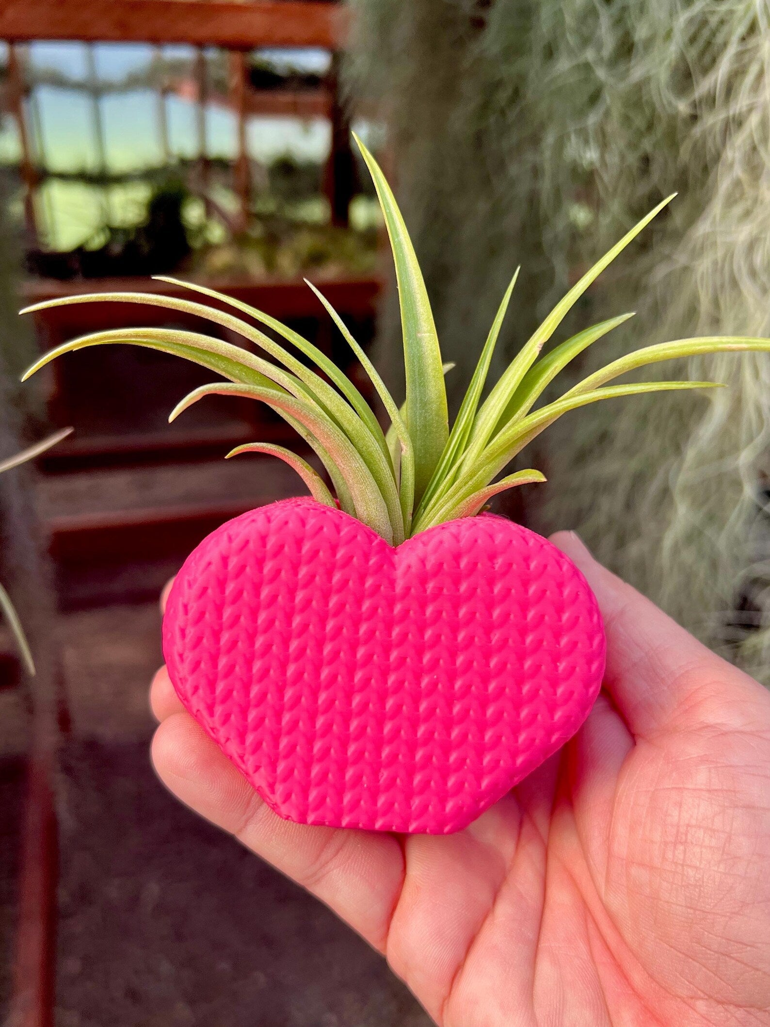 "Knitted" Heart Air Plant Holder