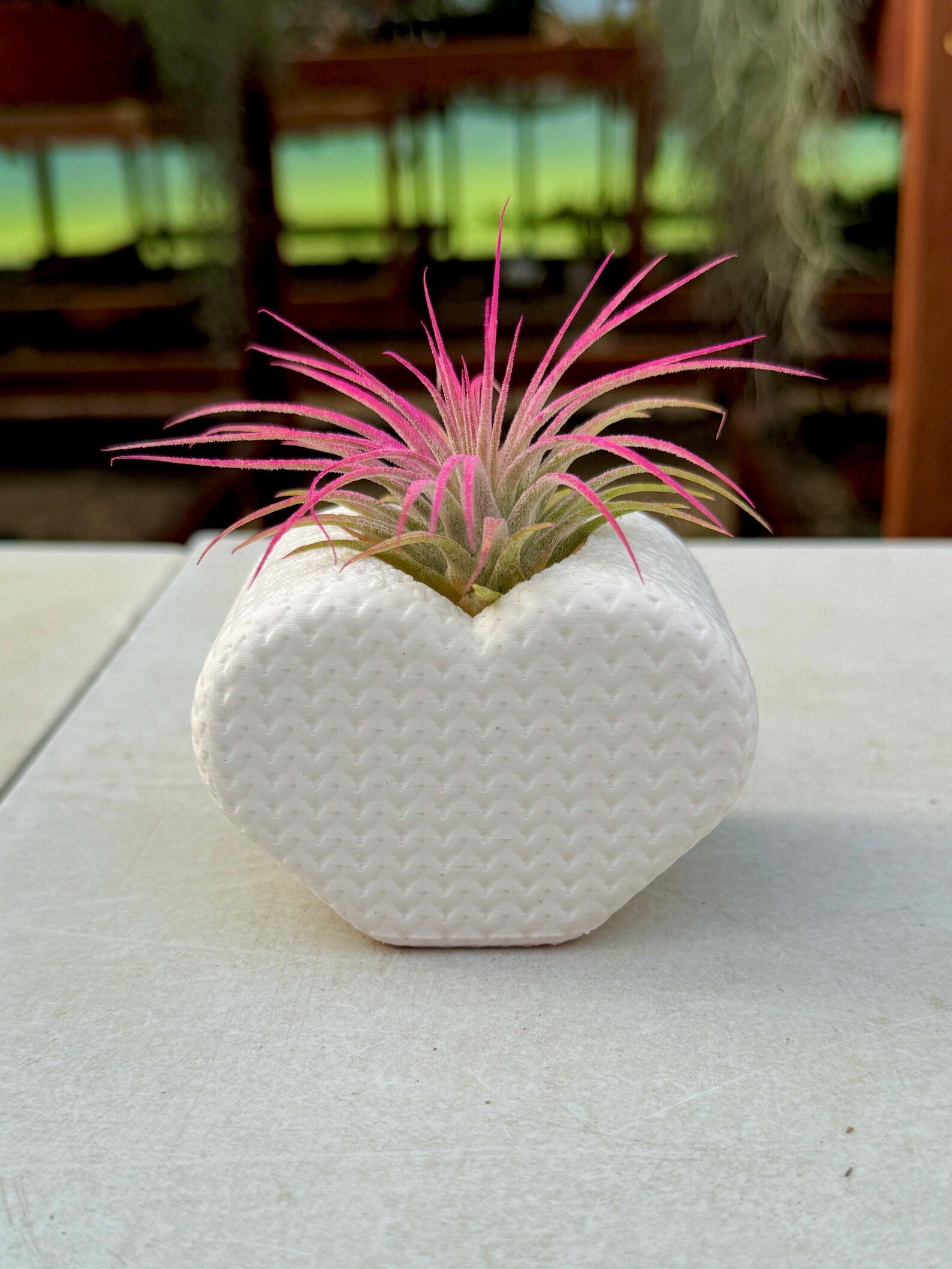 "Knitted" Heart Air Plant Holder