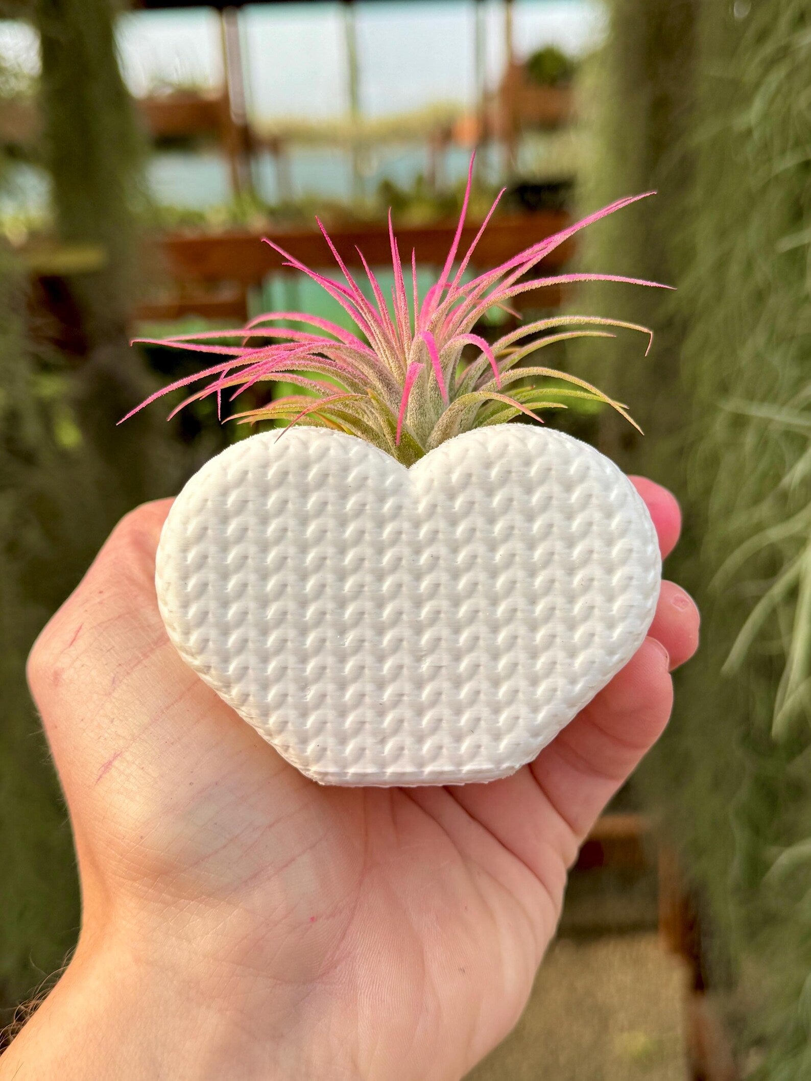 "Knitted" Heart Air Plant Holder
