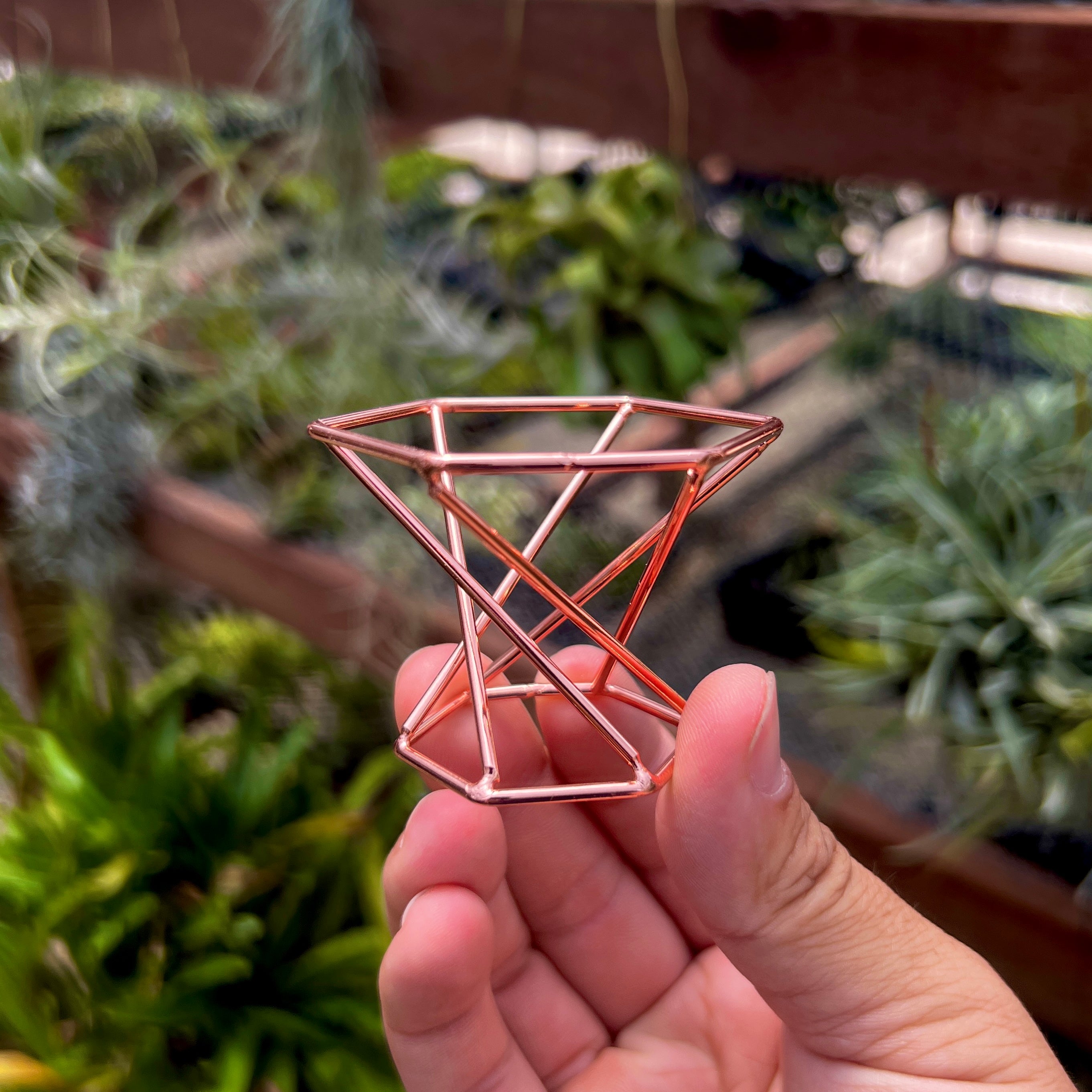 air plant frame holder Rose Gold Geometric Air Plant Holder
