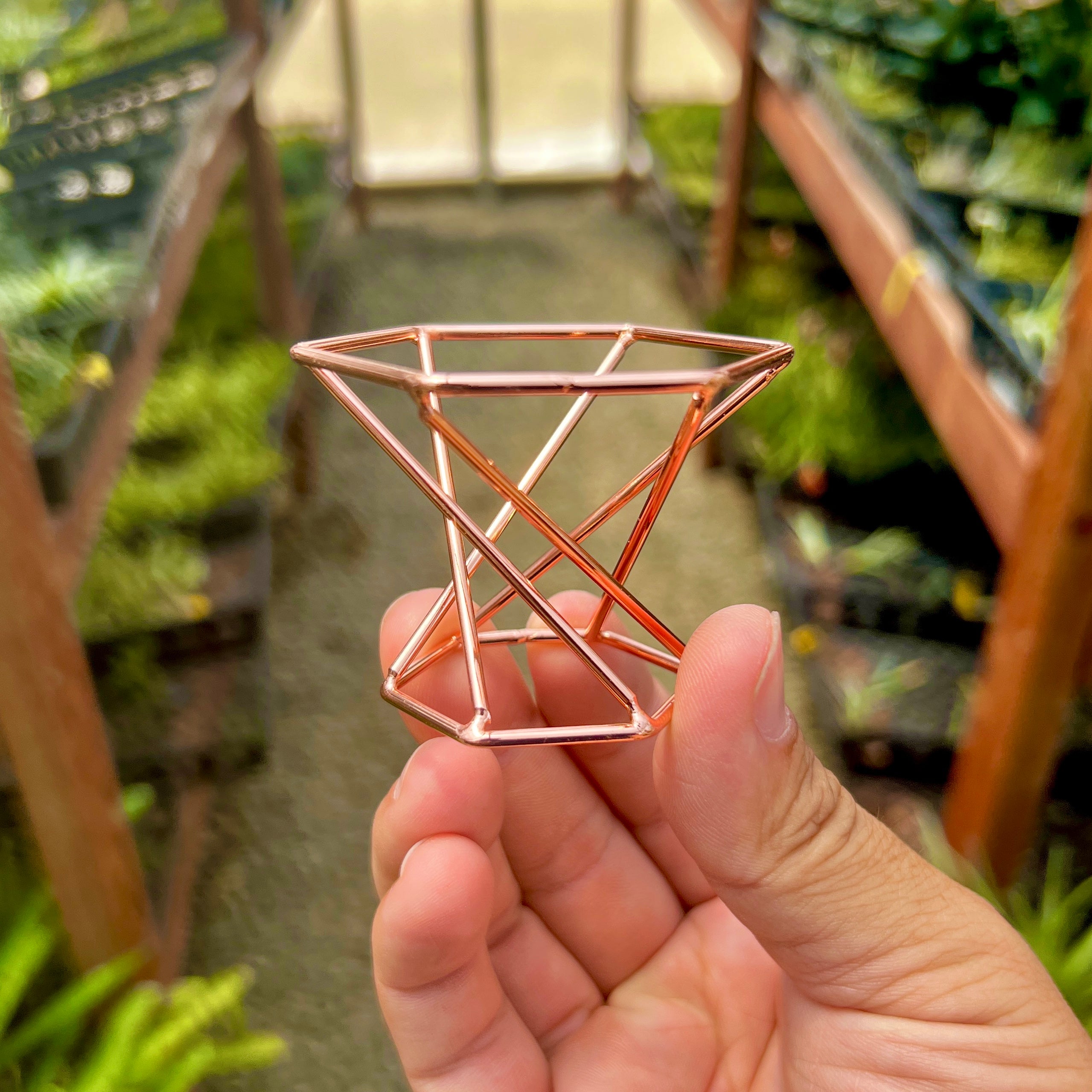 Air Plant Holder Geometric Rose Gold Boho Plant Houseplant Stand