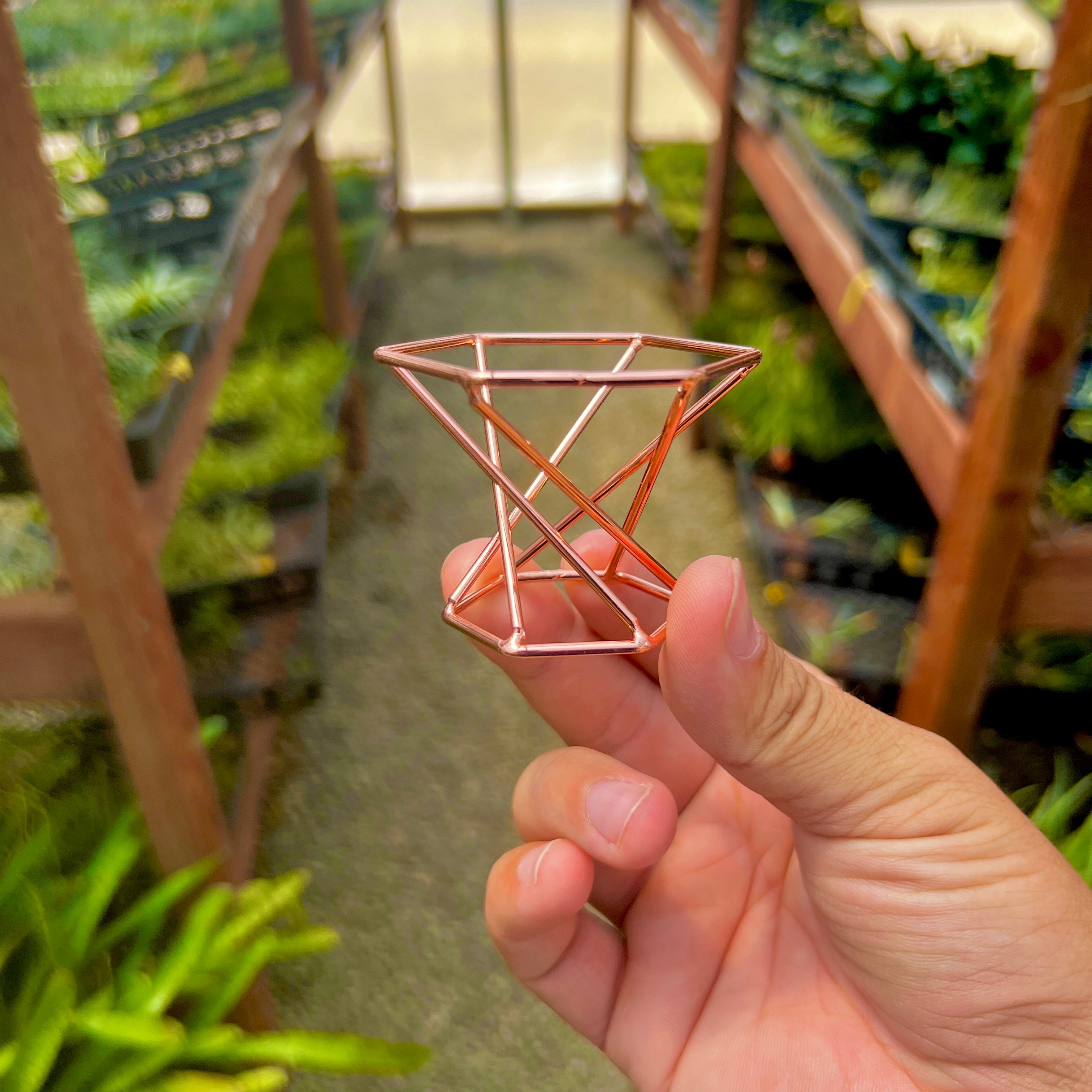 air plant hand holder Rose Gold Geometric Air Plant Holder