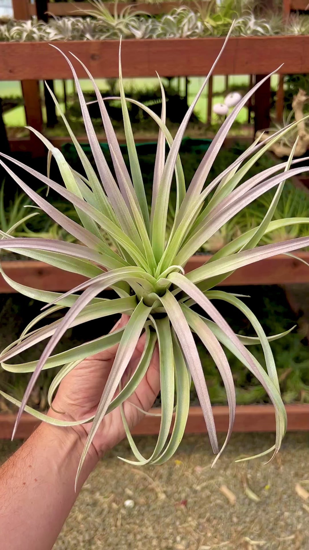 59616942af7e43e1800d92cbf106c1