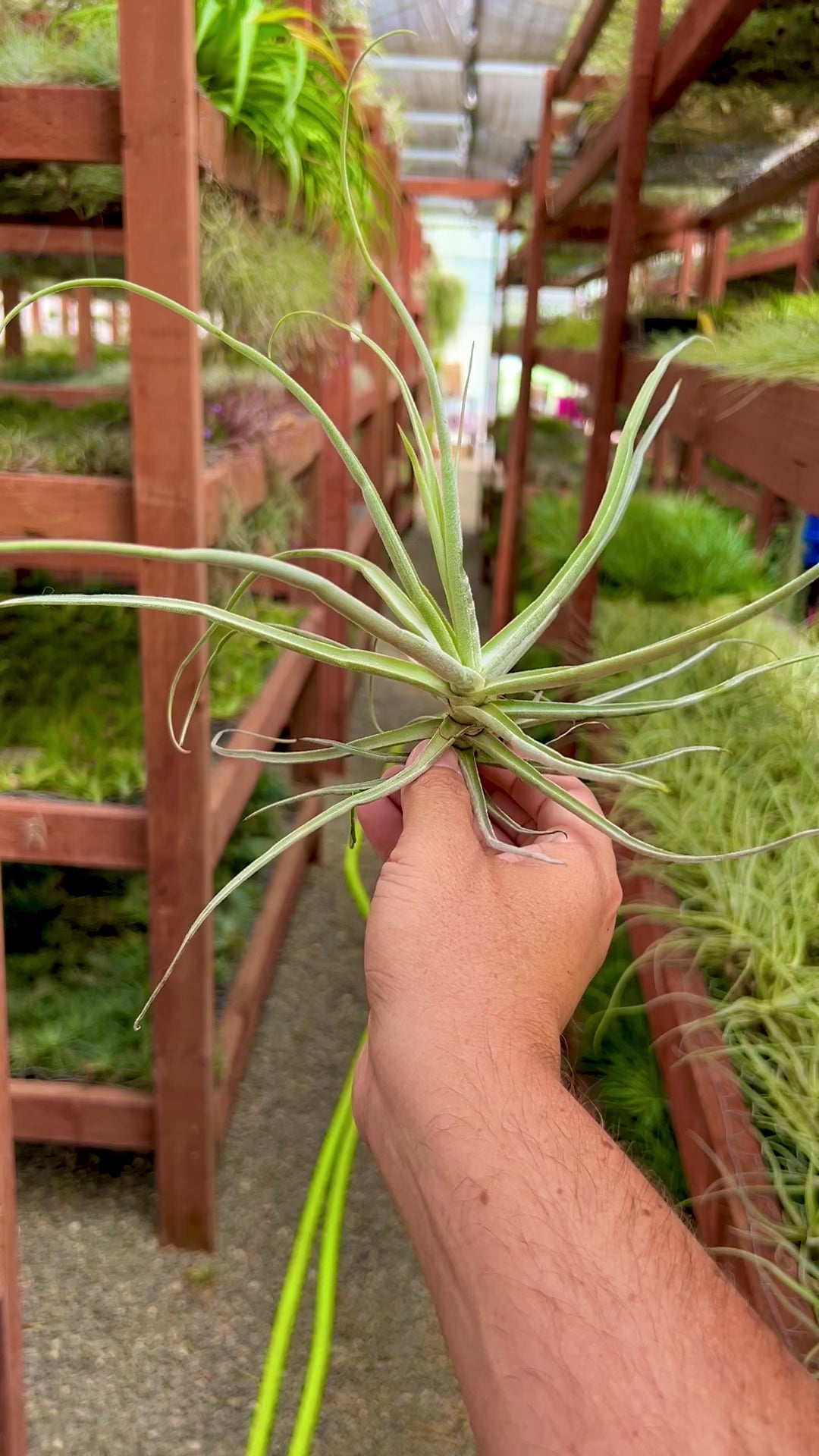 857e05f381624ce6a1280c6f35d2df