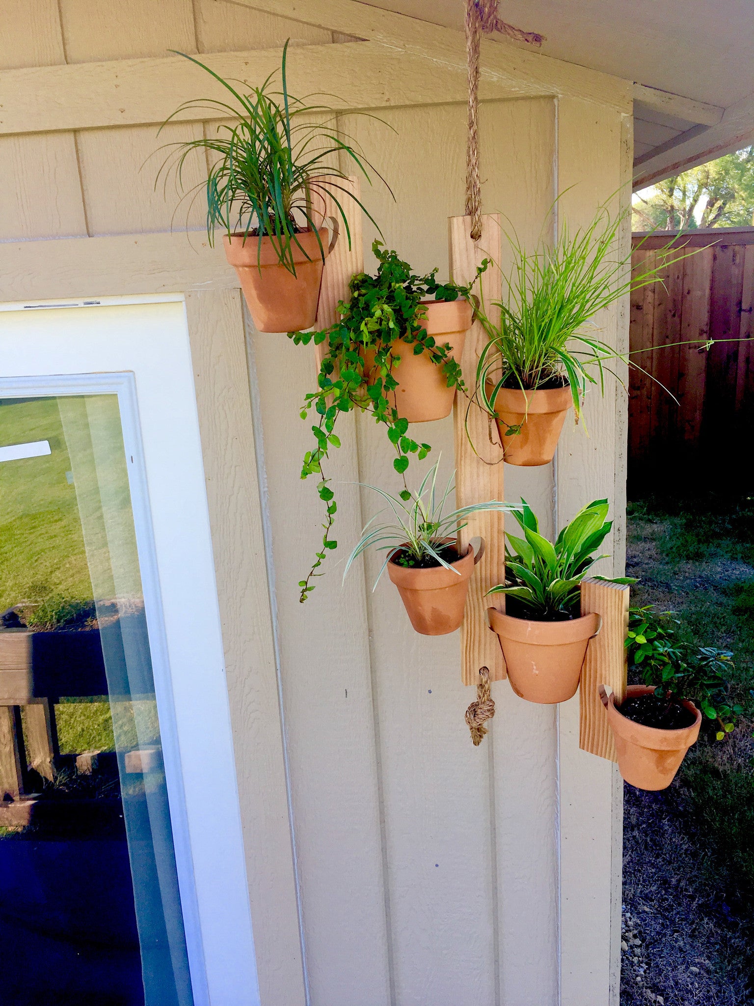 Floating Flowers Hanger Set (Natural Cherry Wood) - Air Plant Hub 