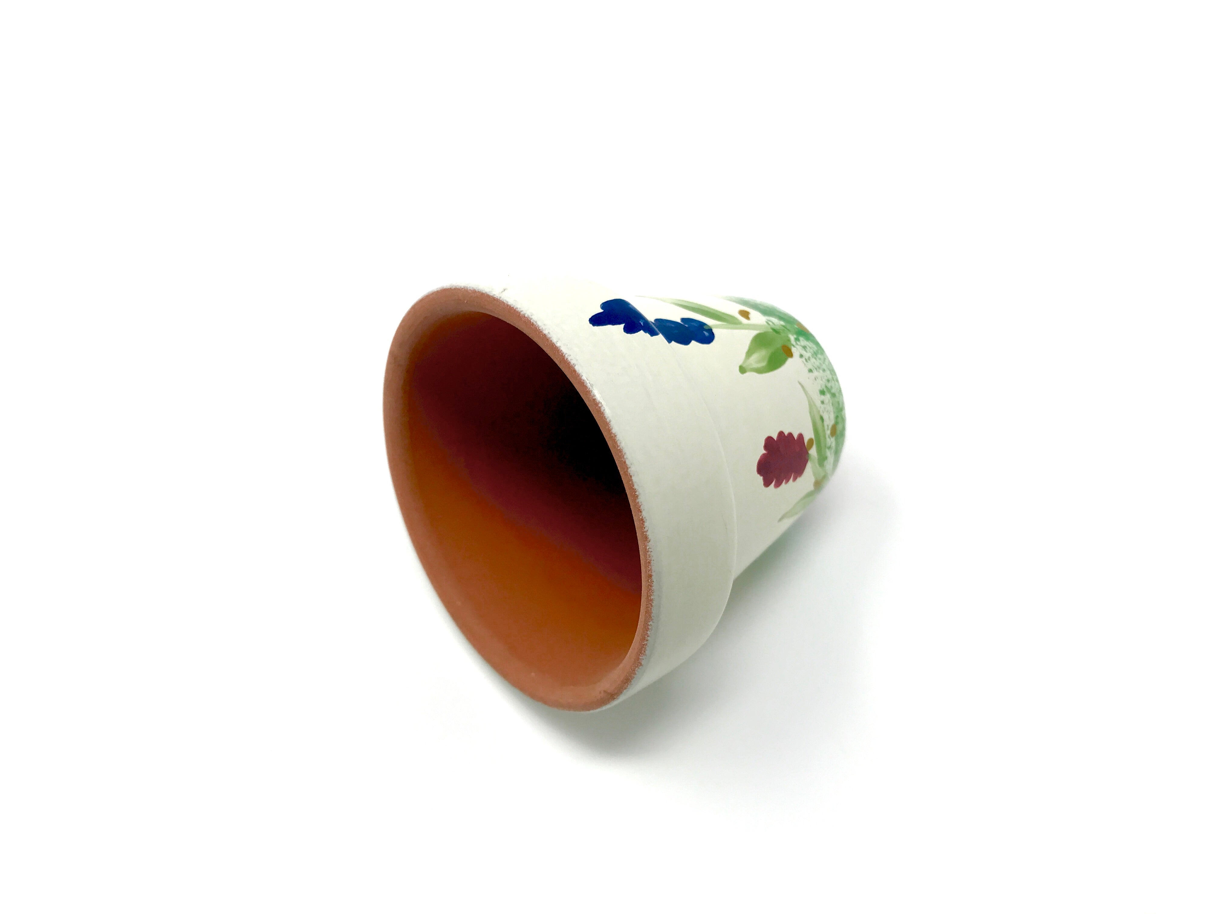 Small Hand Painted Terra Cotta Pot With Brachycaulos - Air Plant Hub 