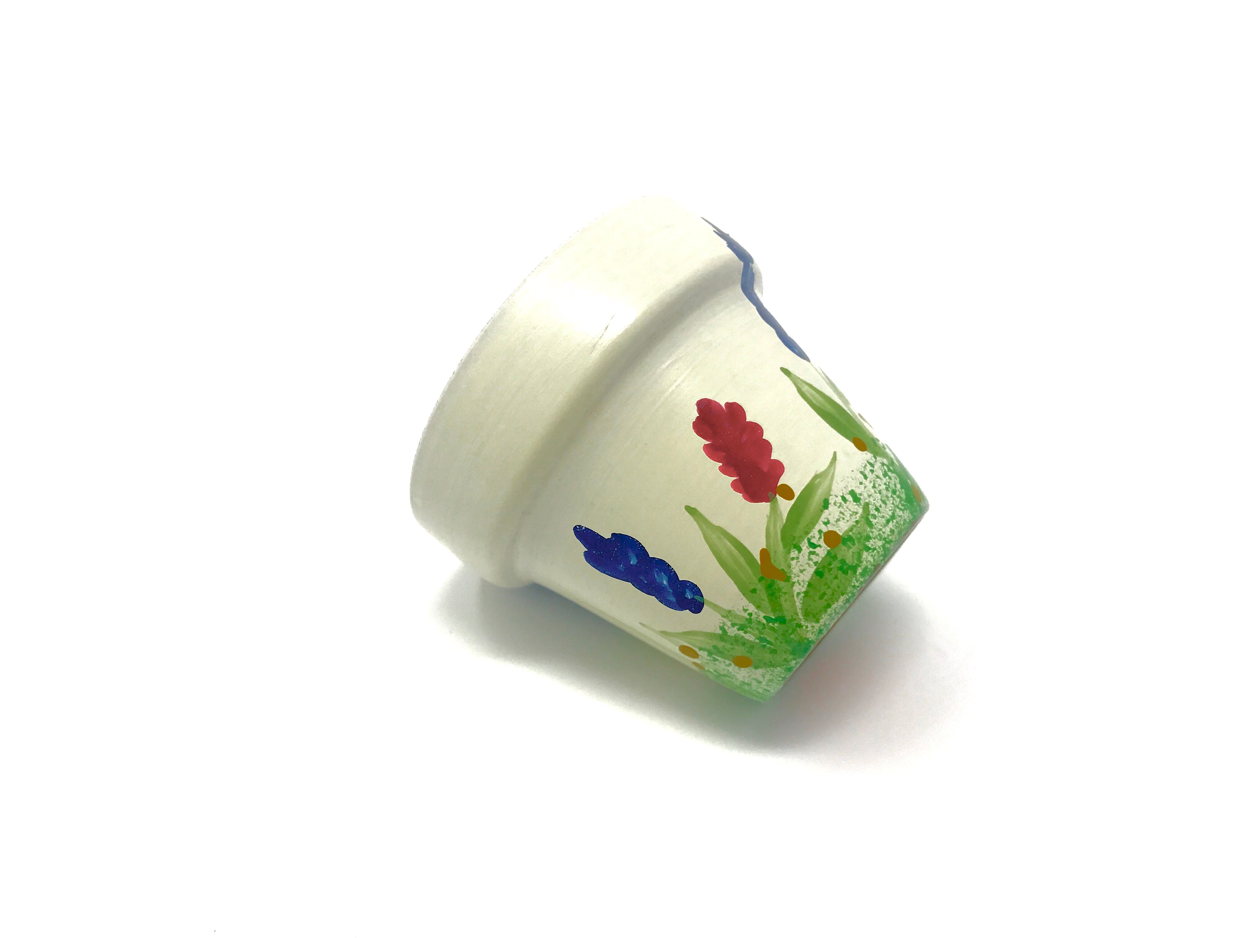 pots for succulents and cactus Small Hand Painted Terra Cotta Pot Pot Only