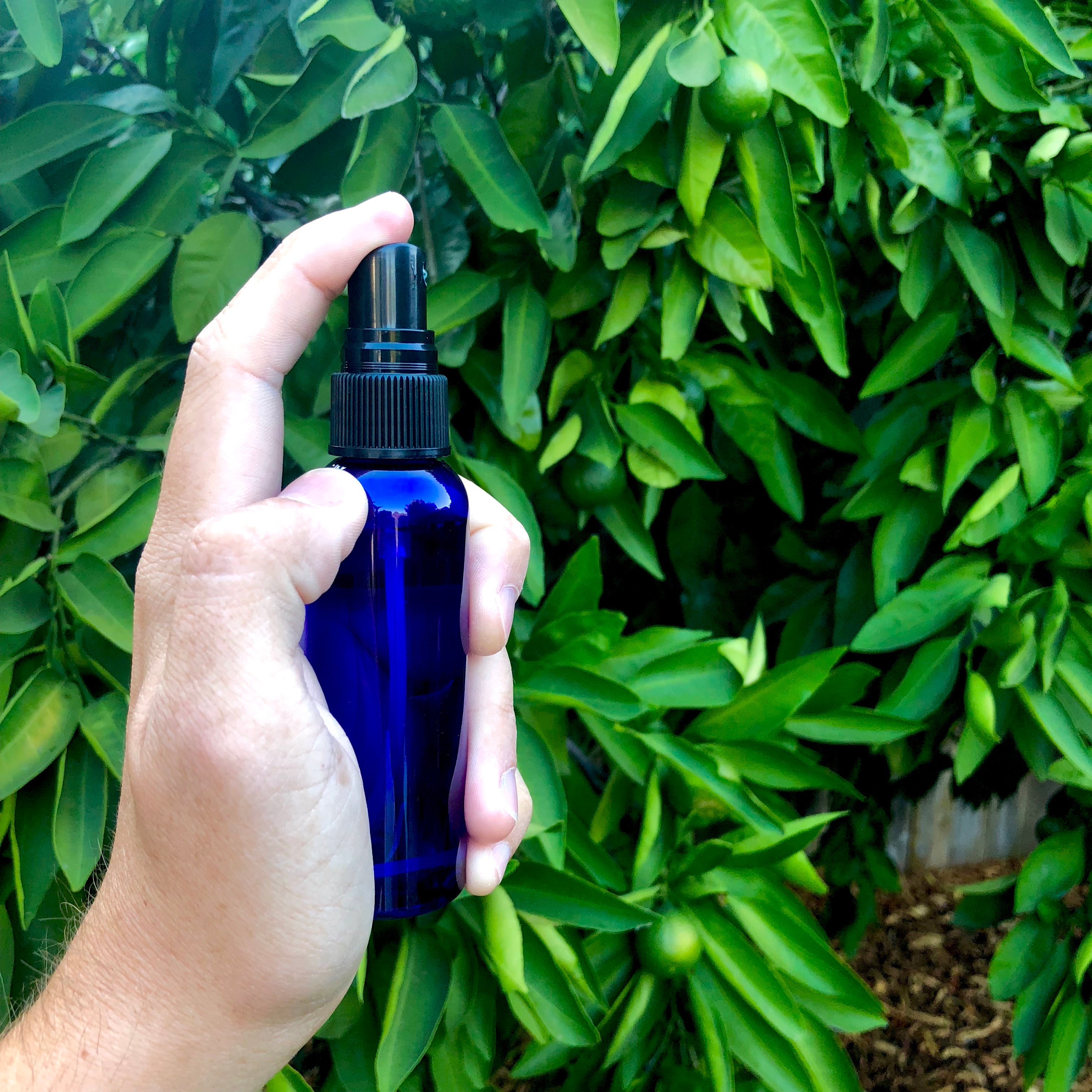 air plant mister Mister Spray Bottle For Air Plants (60ml)
