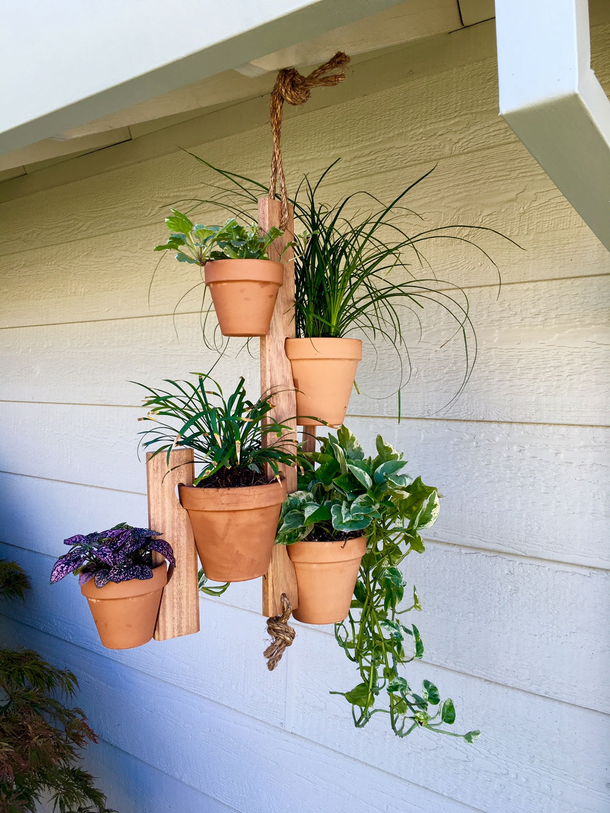 Floating Flowers Hanger Set (Natural Cherry Wood) - Air Plant Hub 