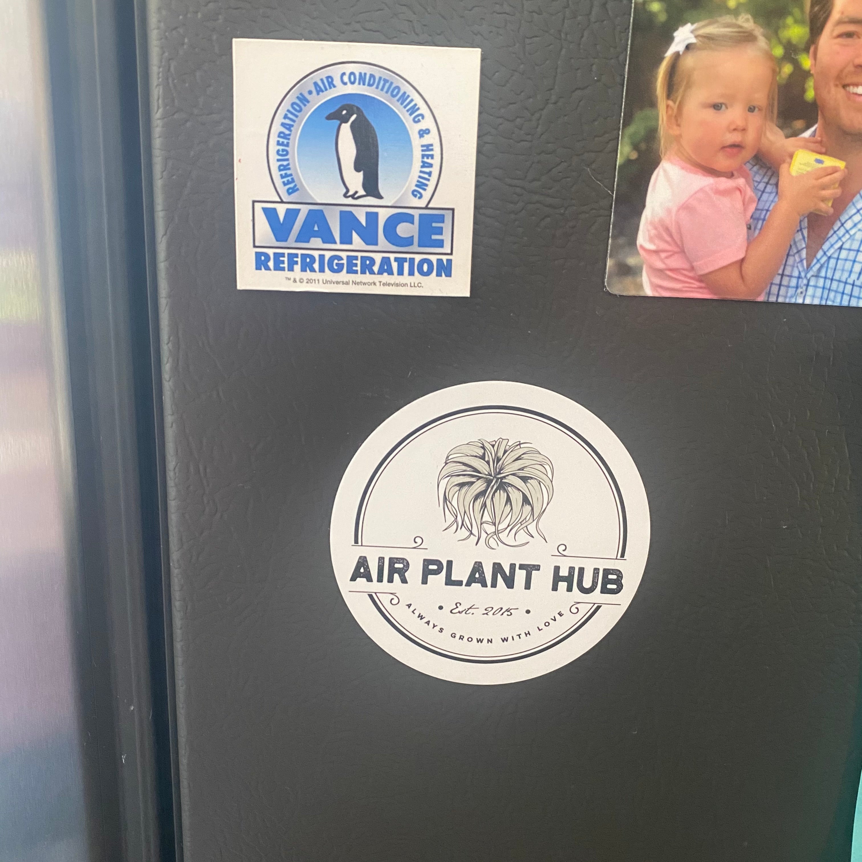Air Plant Hub Magnet <br> High Quality!
