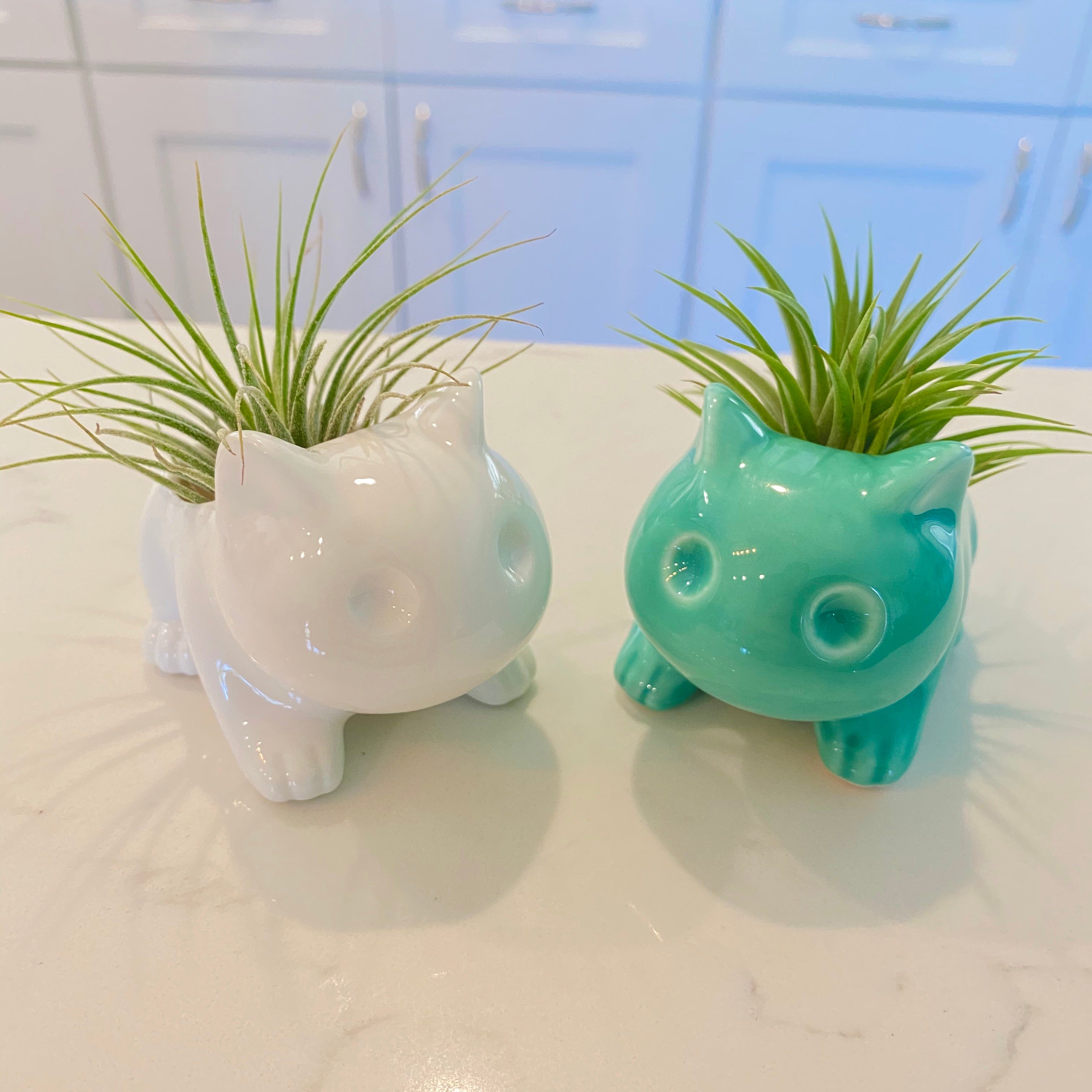 cat air plant holder Bulb Dinosaur / Cat Planter (Includes Drainage Hole For Non Air Plants) Single White