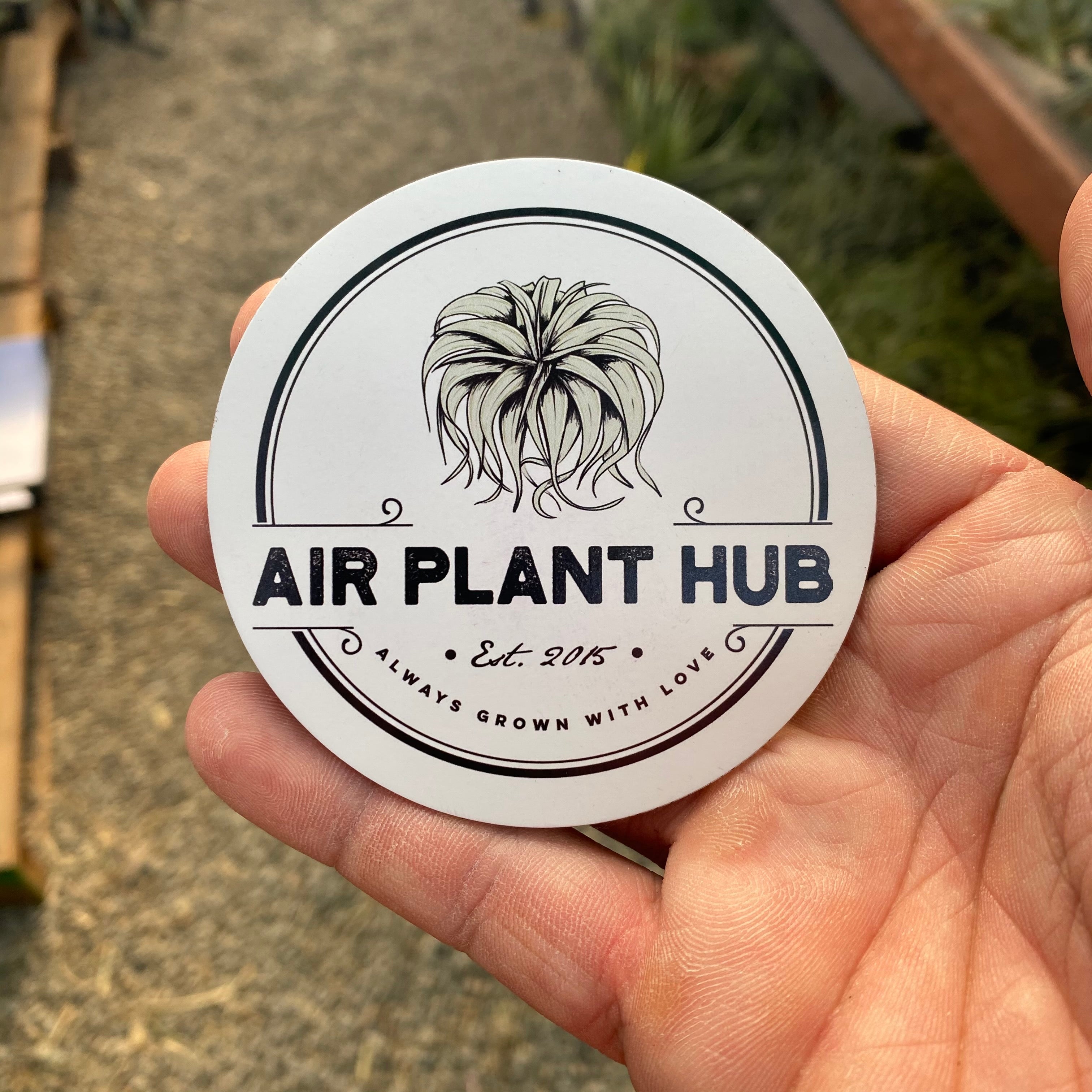 Air Plant Hub Magnet <br> High Quality!