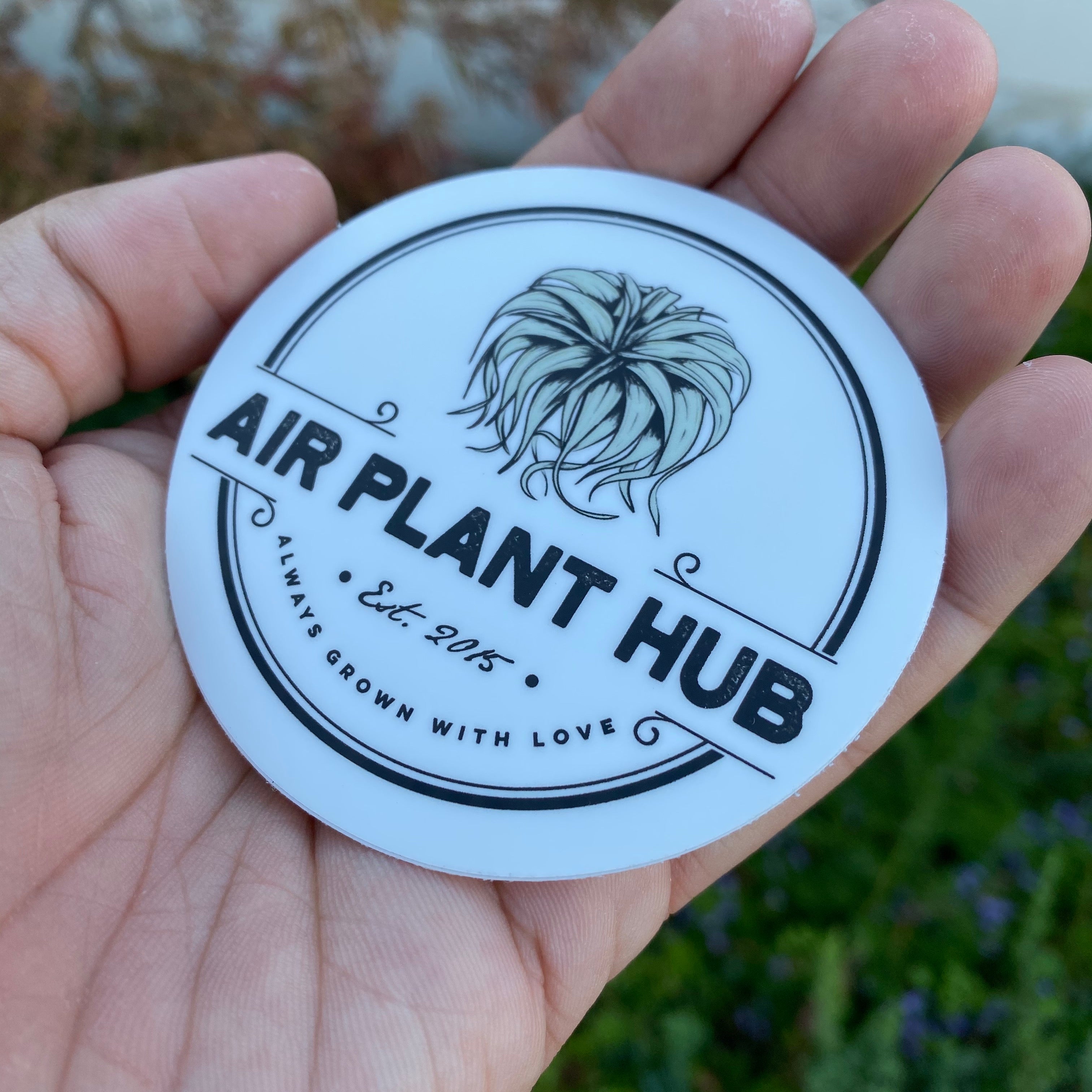 Air Plant Hub ラウンド ダイカット ステッカー 3 インチ x 3 インチ