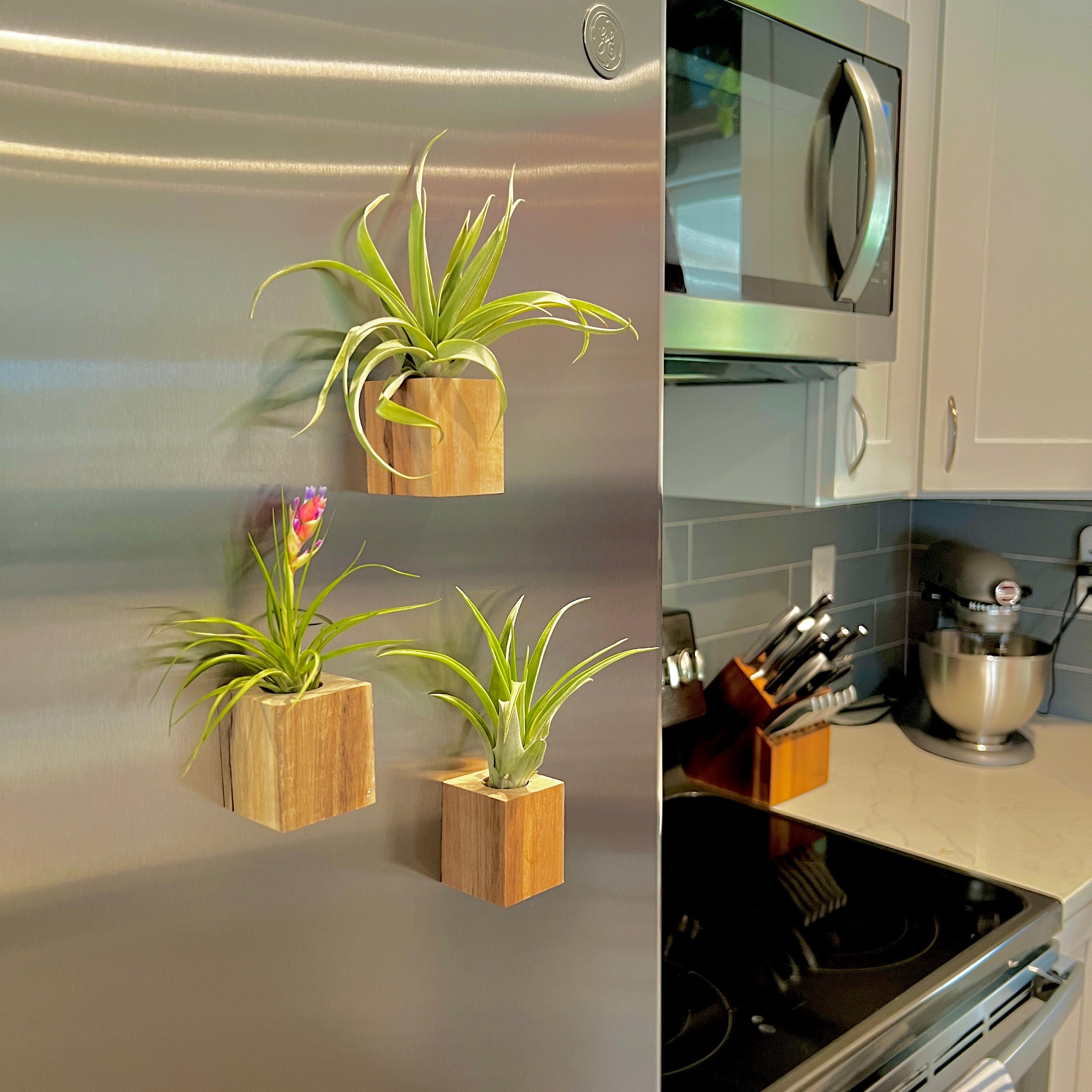 Wholesale Handcrafted Wooden Magnet Air Plant Holder <br> (No Minimum)