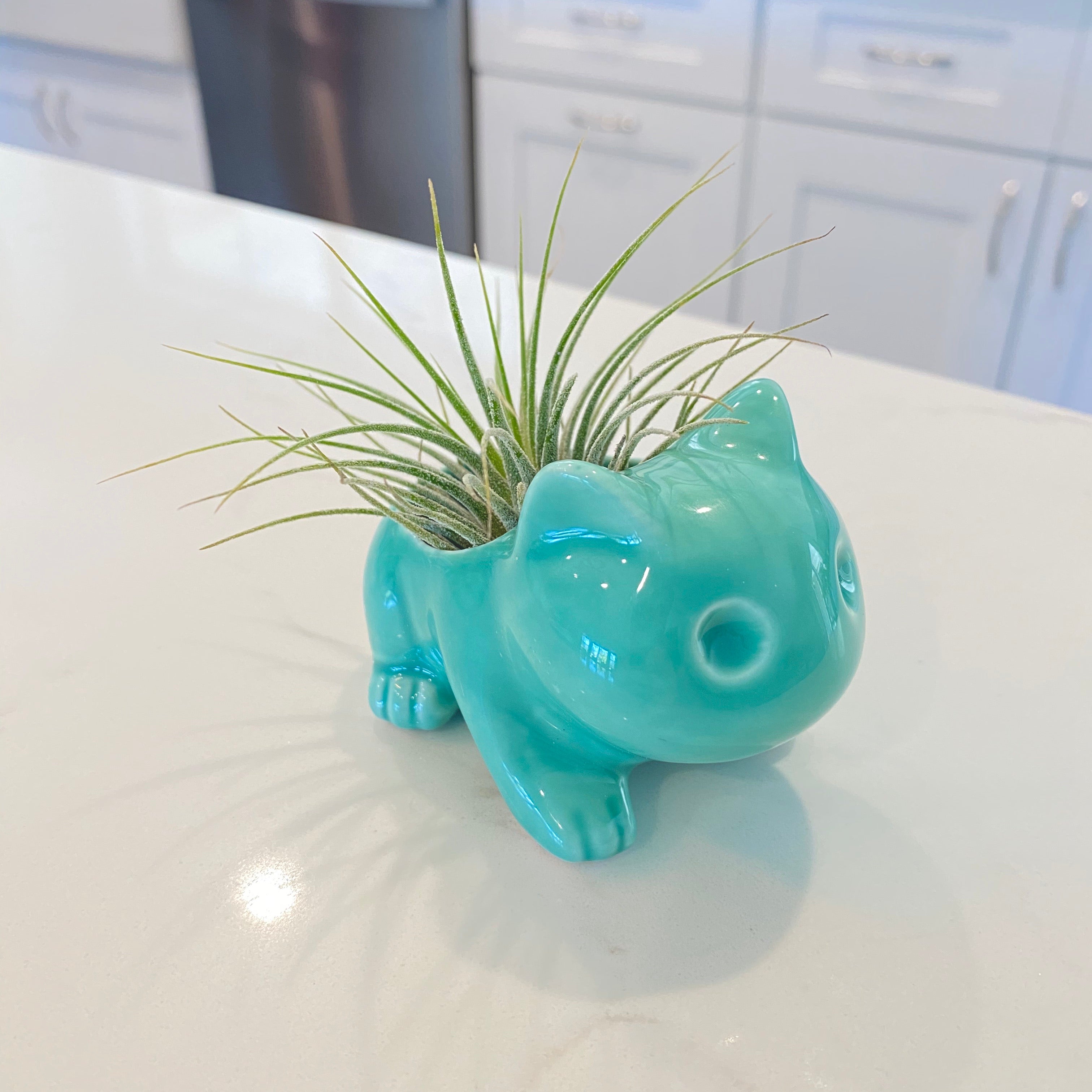 bulbasaur plant pot amazon Bulb Dinosaur / Cat Planter (Includes Drainage Hole For Non Air Plants) Single White