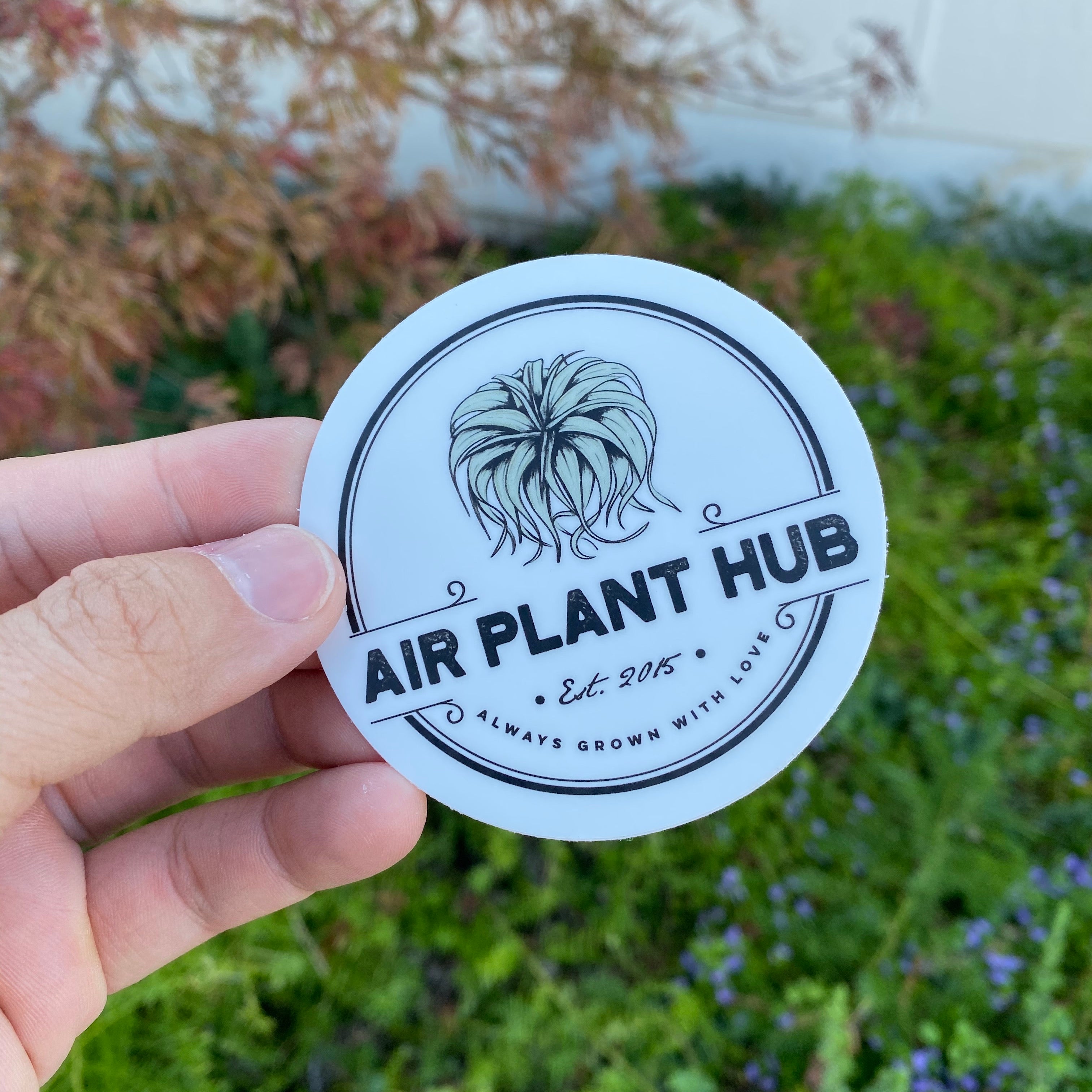 Air Plant Hub ラウンド ダイカット ステッカー 3 インチ x 3 インチ