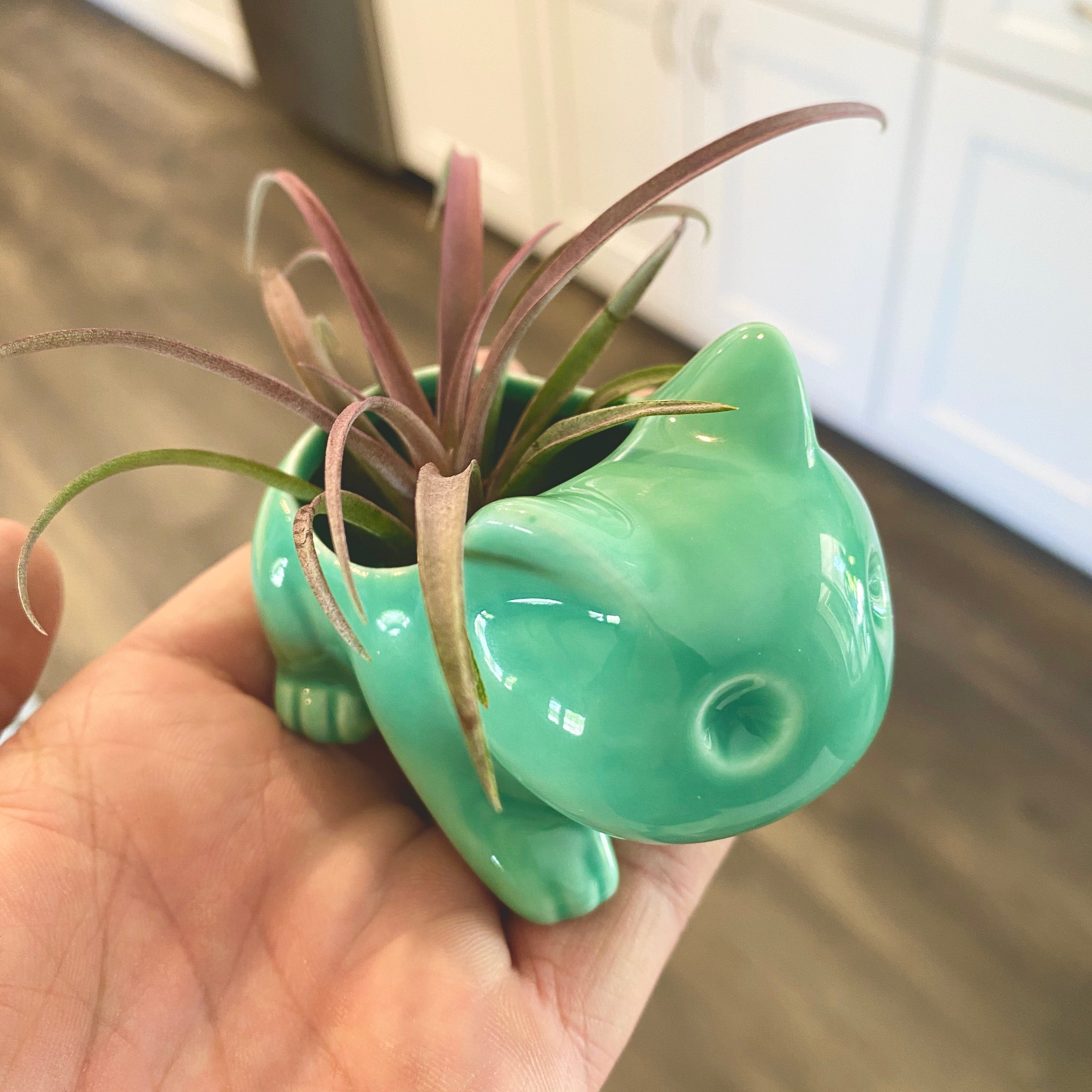 dinosaur air plant Bulb Dinosaur / Cat Planter (Includes Drainage Hole For Non Air Plants) Single White