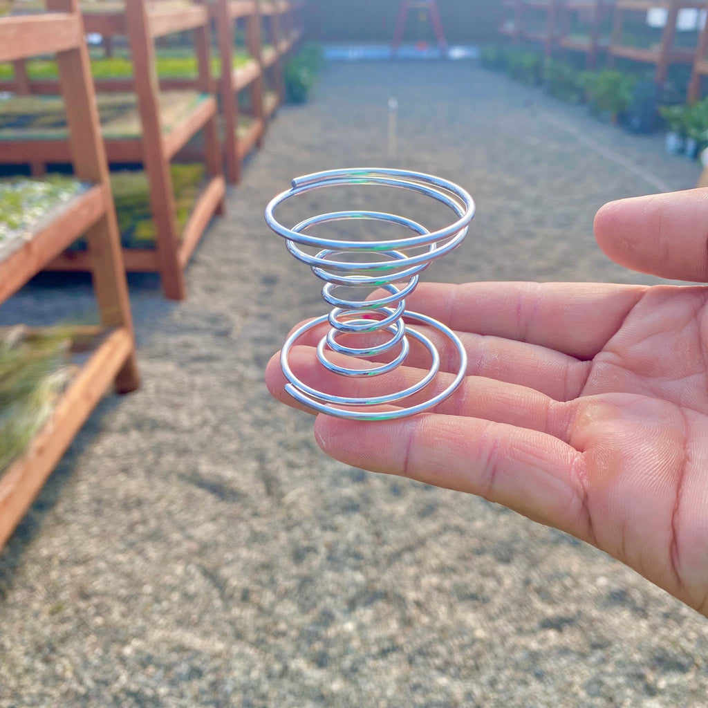 Wire Air Plant Spring Holder | Air Plant Hub